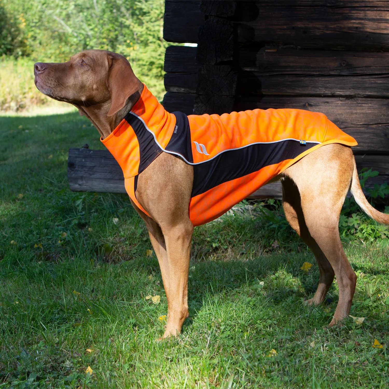 Back on Track Eddie pull pour chien orange réfléchissant