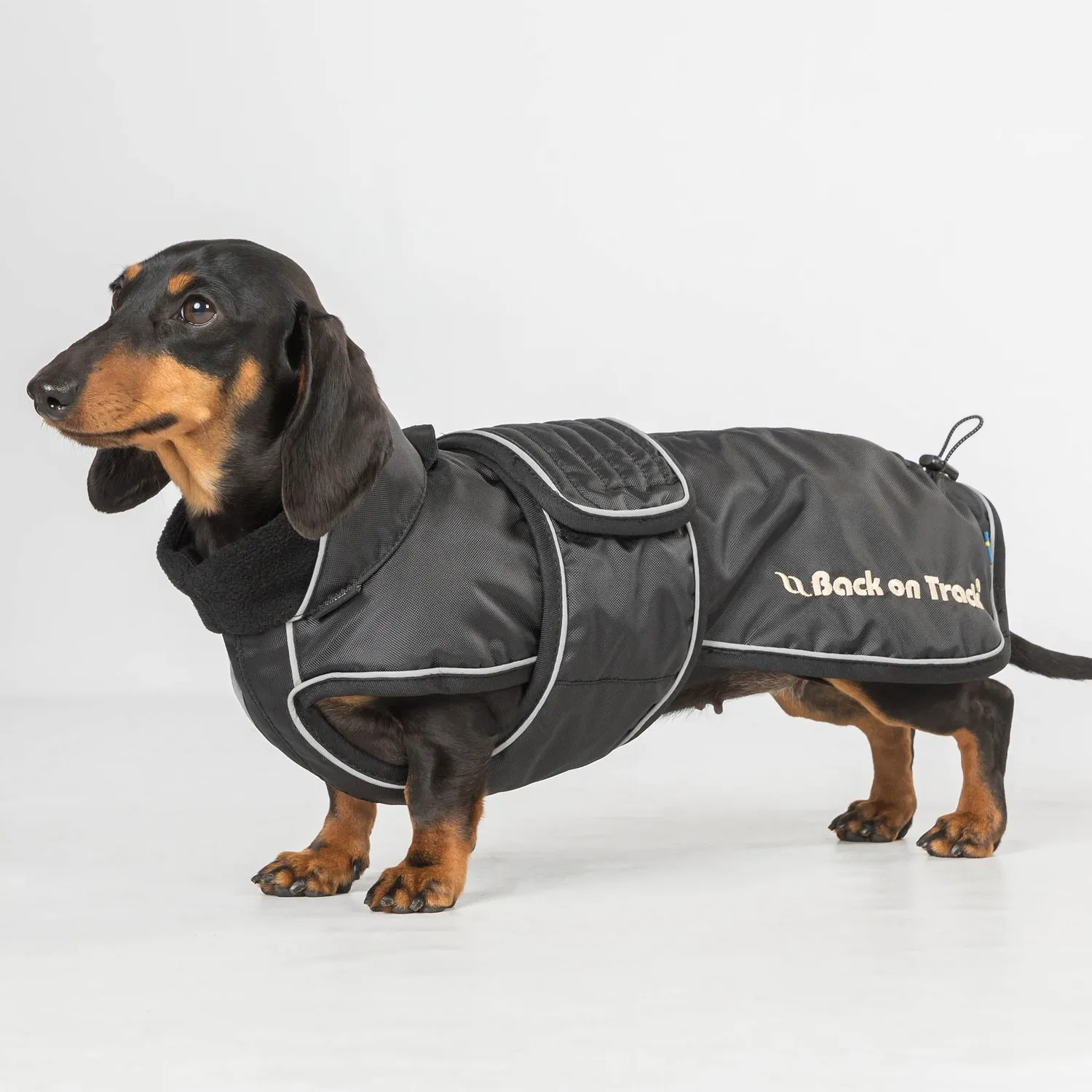 Back on Track Buddy manteau chien noir 44 cm