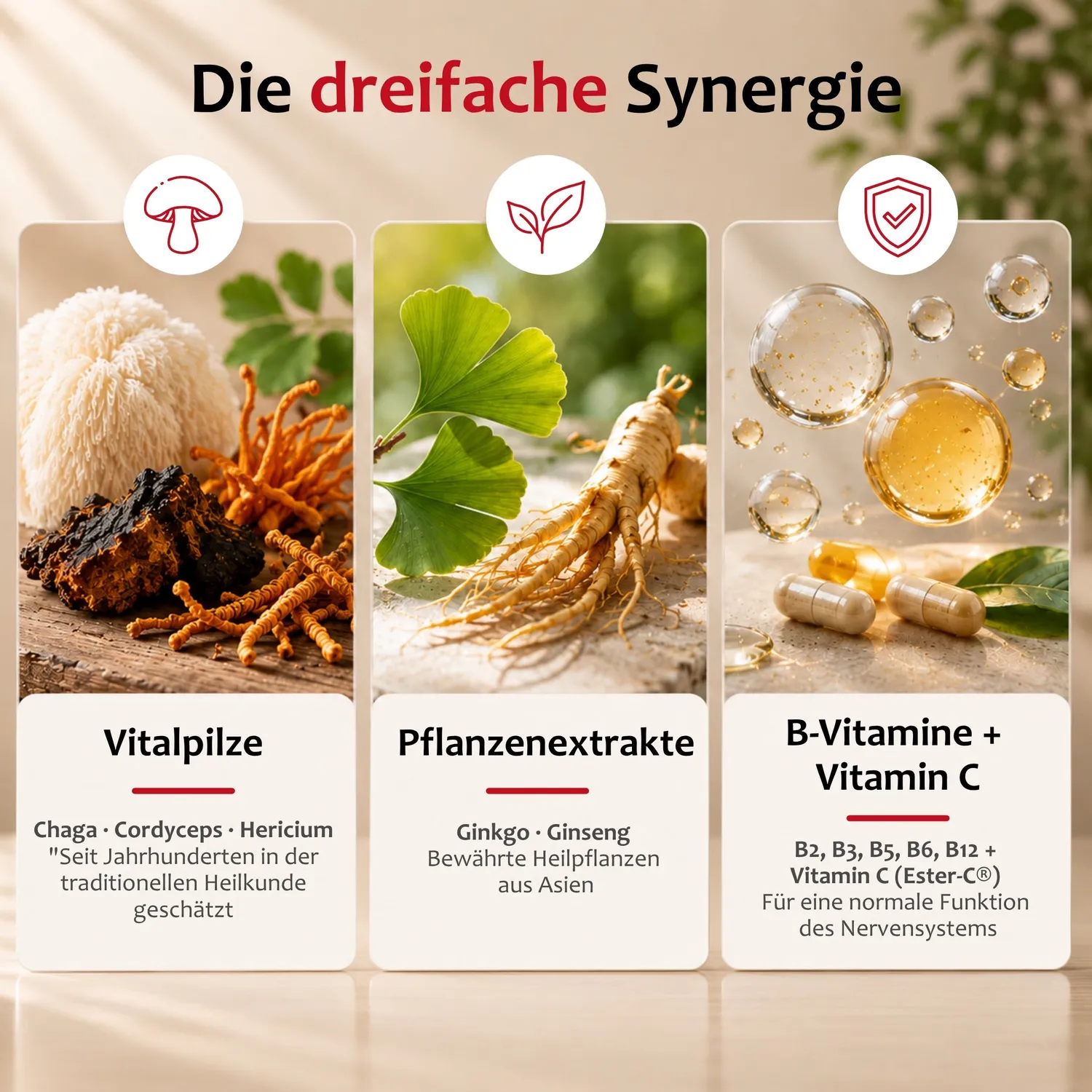 Staudt Gedächtnis Fit complément mémoire concentration