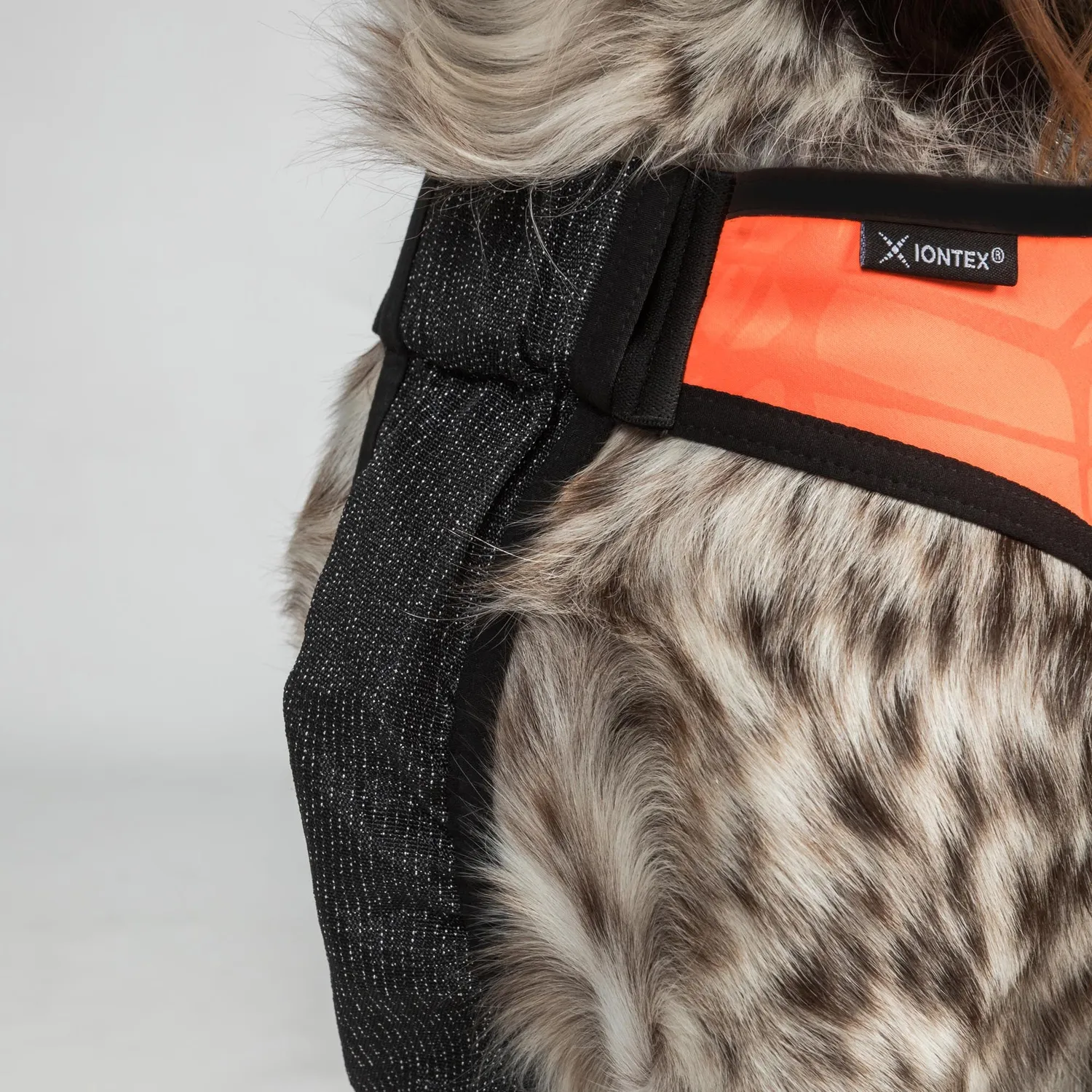 Back on Track Trakk gilet chien orange réfléchissant