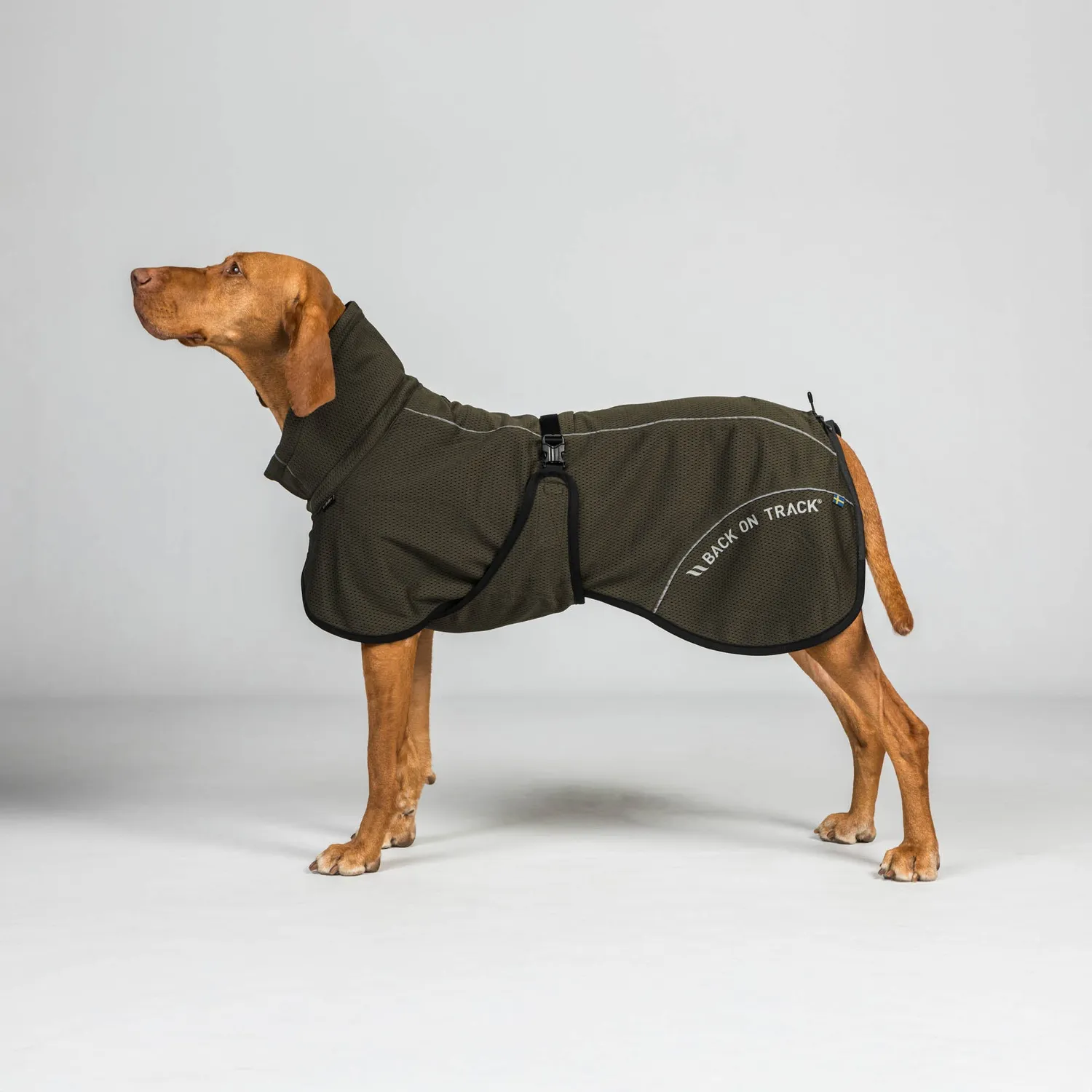 Back on Track Bay manteau chien mesh noir queue haute