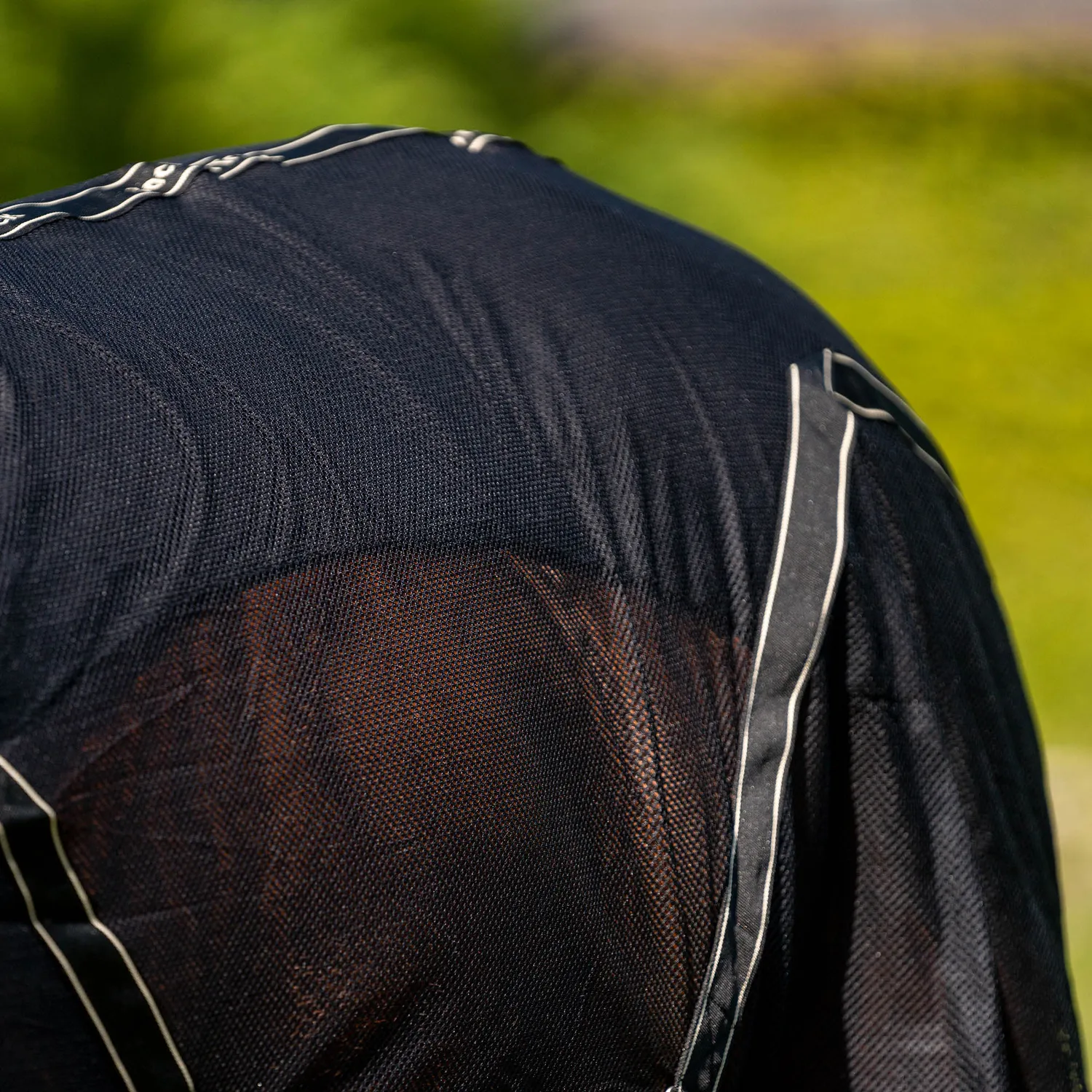 Back on Track Sienna chemise cheval noir 145 cm respirante
