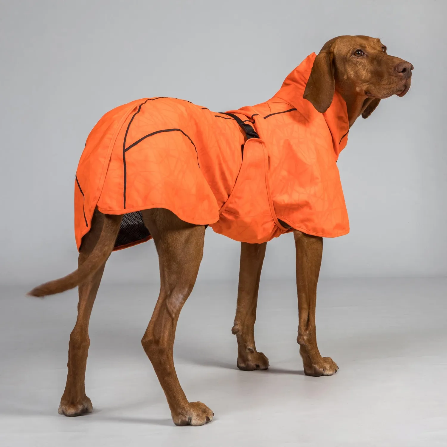 Back on Track Bay manteau pluie chien queue basse imperméable