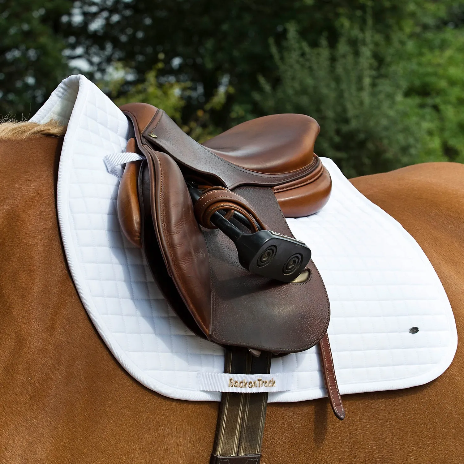 Back on Track No 1 tapis selle obstacle noir Cob chauffant