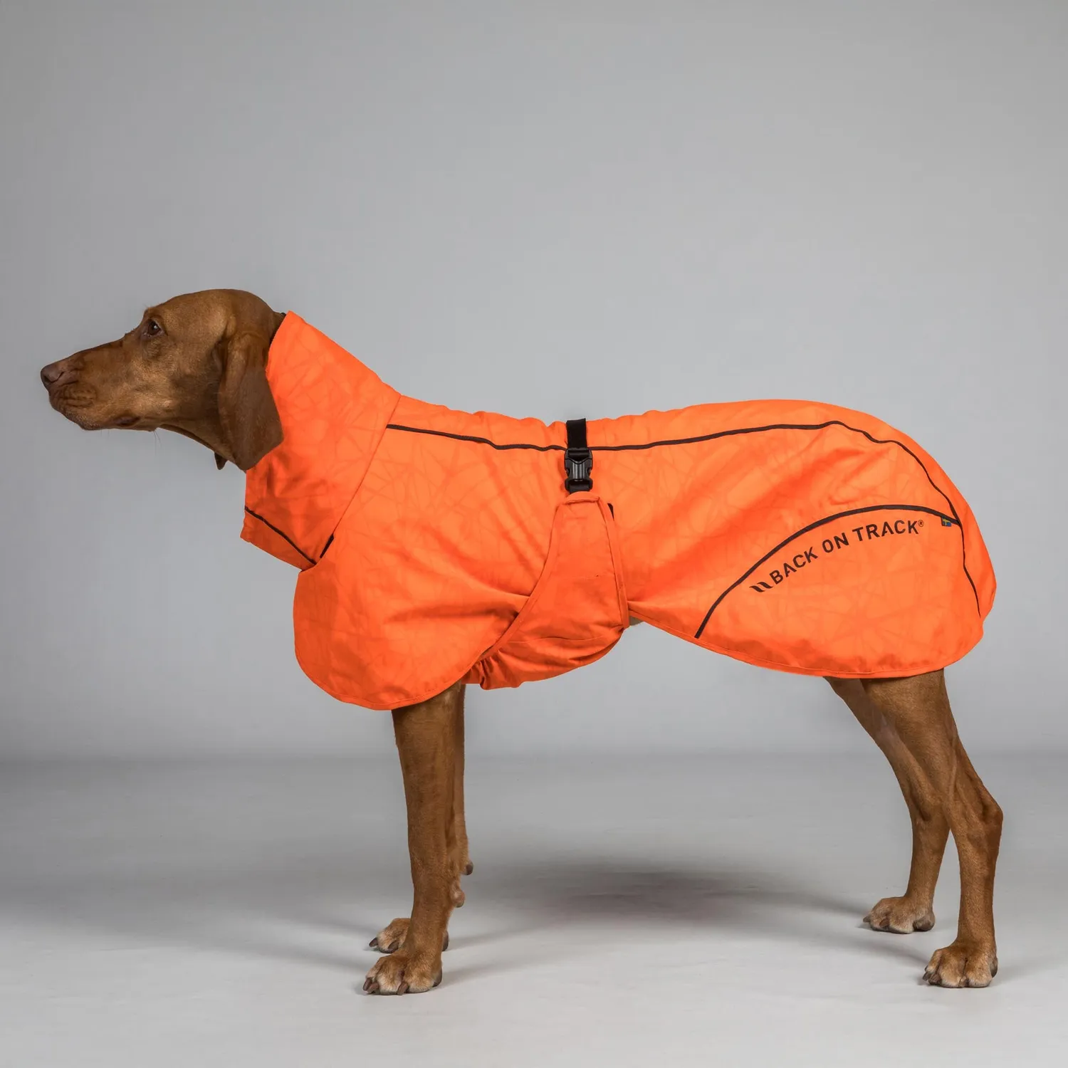 Back on Track Bay manteau pluie chien queue basse imperméable