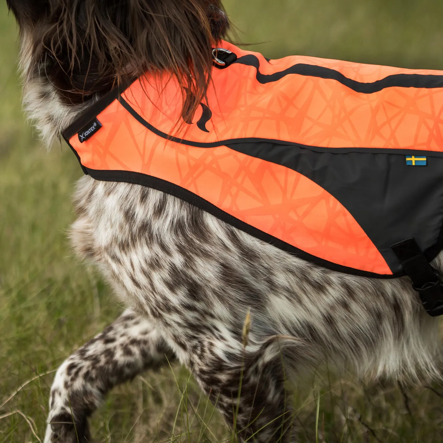 Back on Track Point gilet chien orange XS visibilité chasse