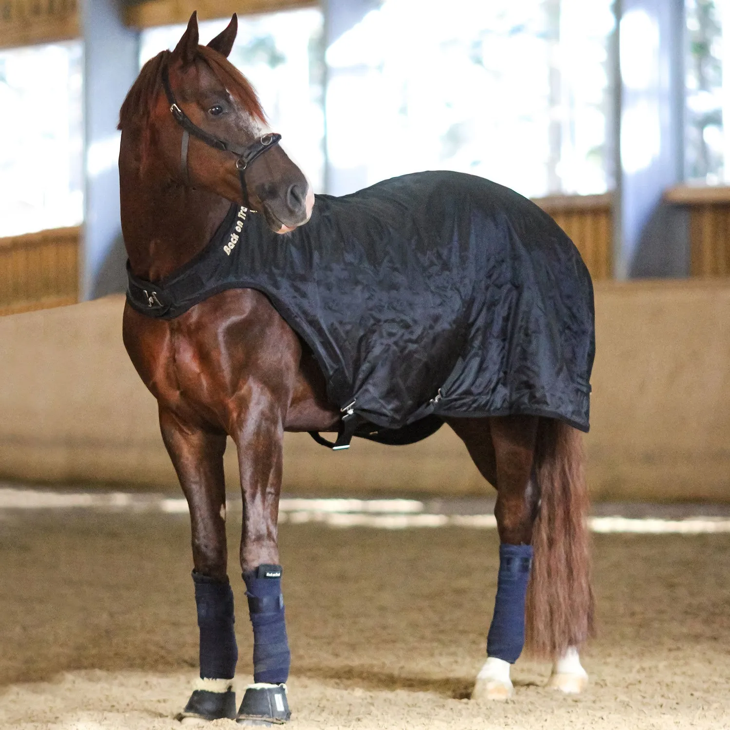 Back on Track Exercise couvre-rein cheval noir 155 cm