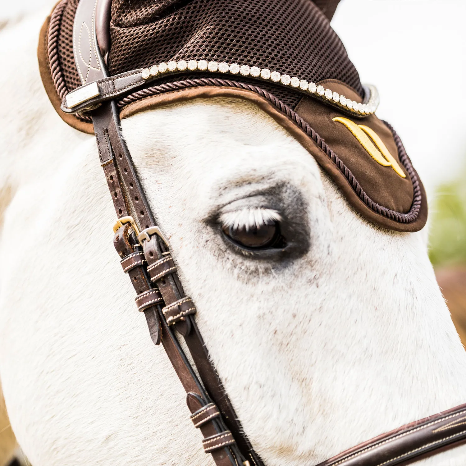 Back on Track Airflow bonnet cheval noir Full aéré