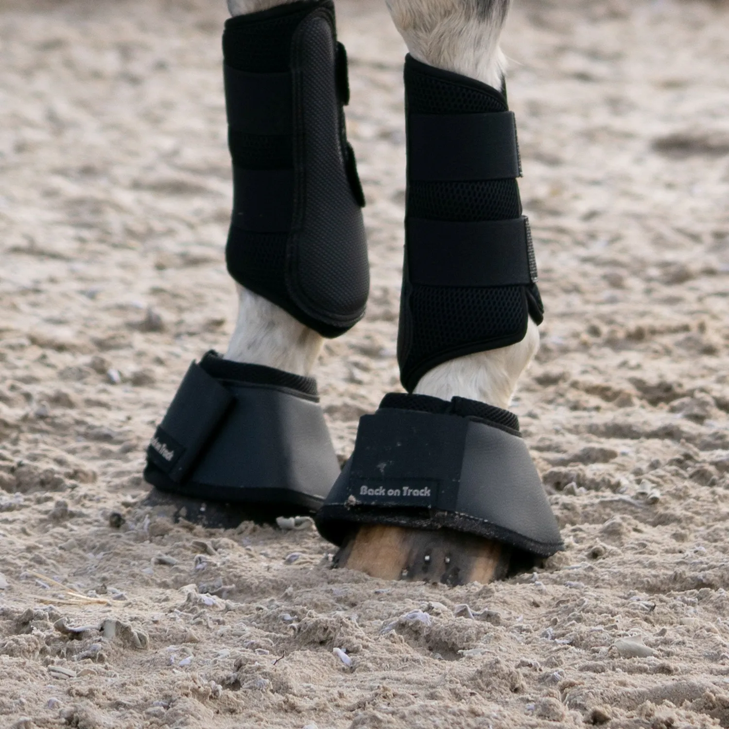 Back on Track Bell Boots cloches cheval noir S Welltex