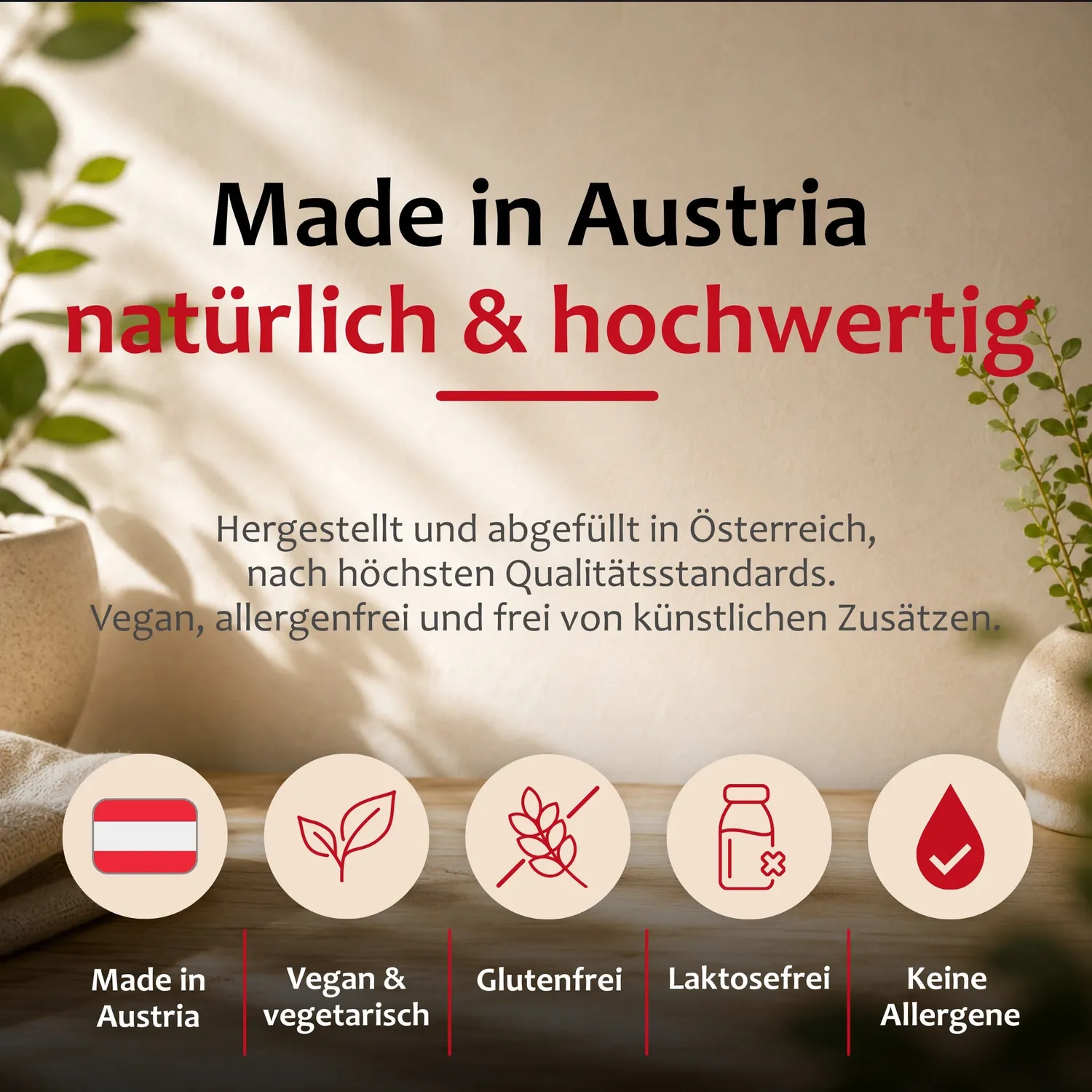 Staudt Antioxidans Forte complément antioxydant