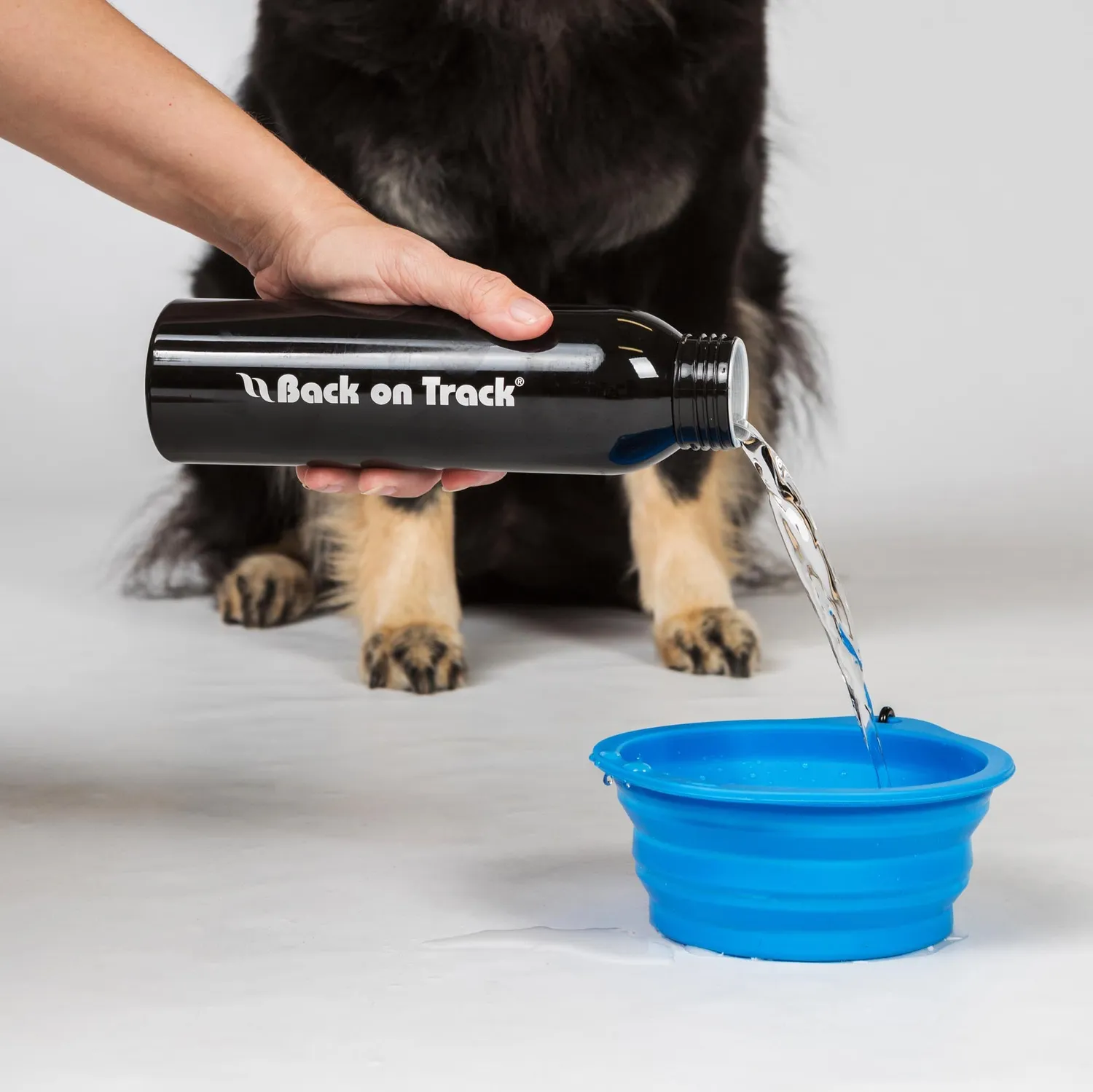 Back on Track gamelle chien silicone pliable orange mousqueton