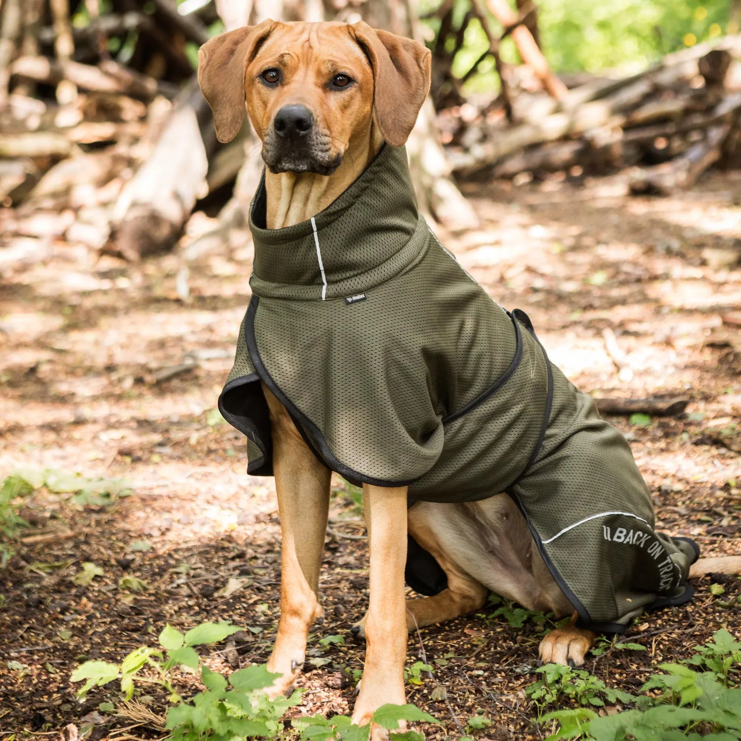 Back on Track Bay Mesh manteau chien noir 50 respirant