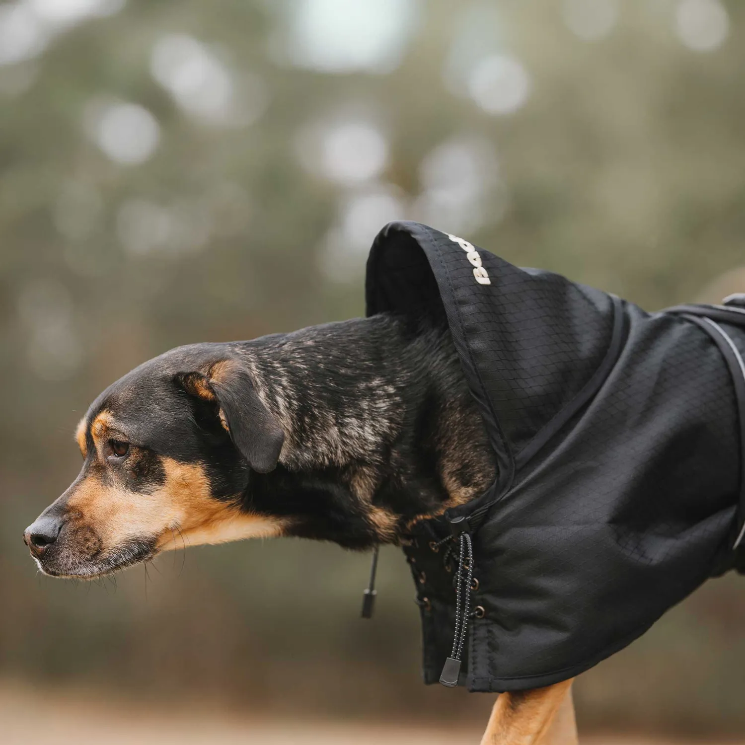 Back on Track manteau chien imperméable doublé noir 110g circulation