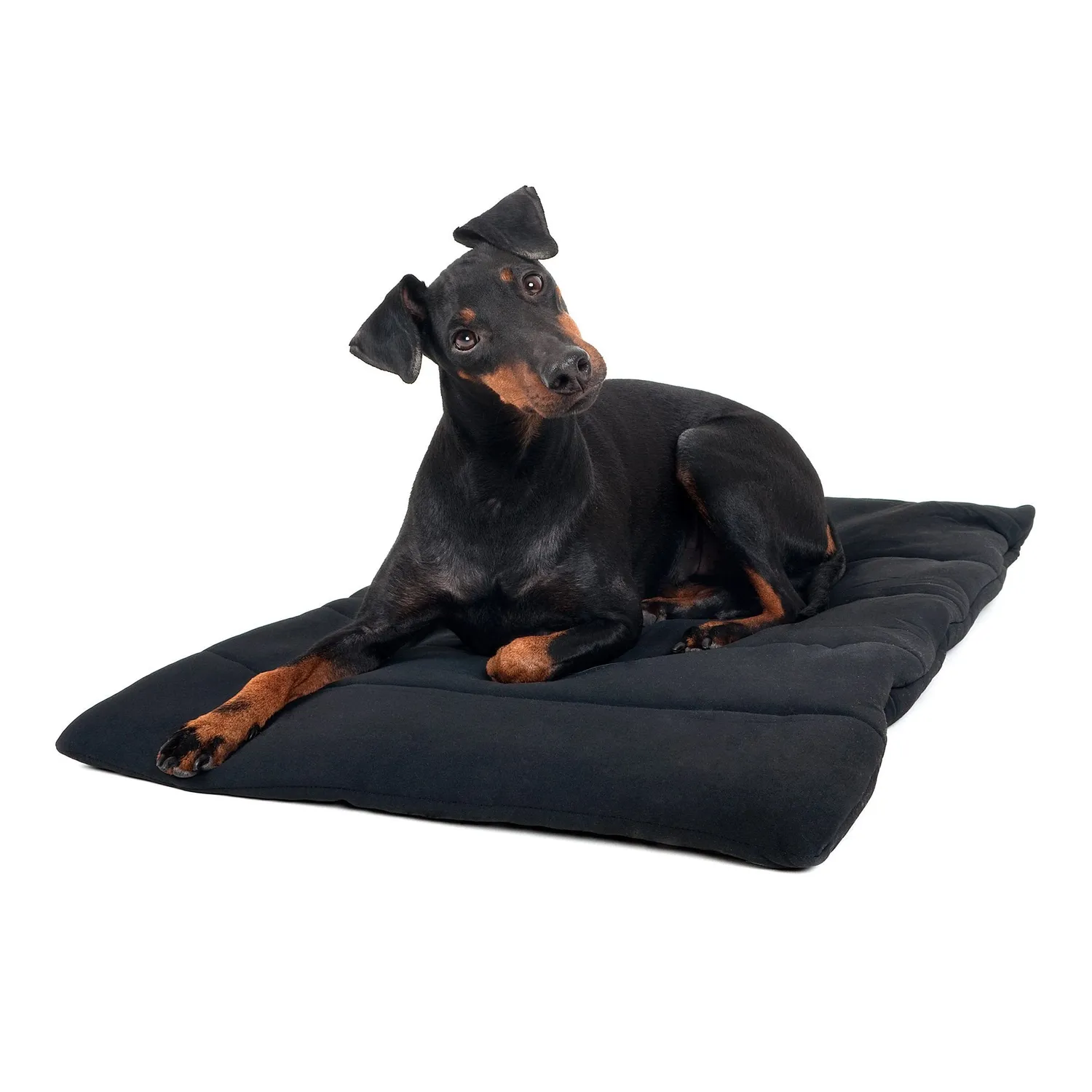 Back on Track Dog couverture chien céramique noire 50x68