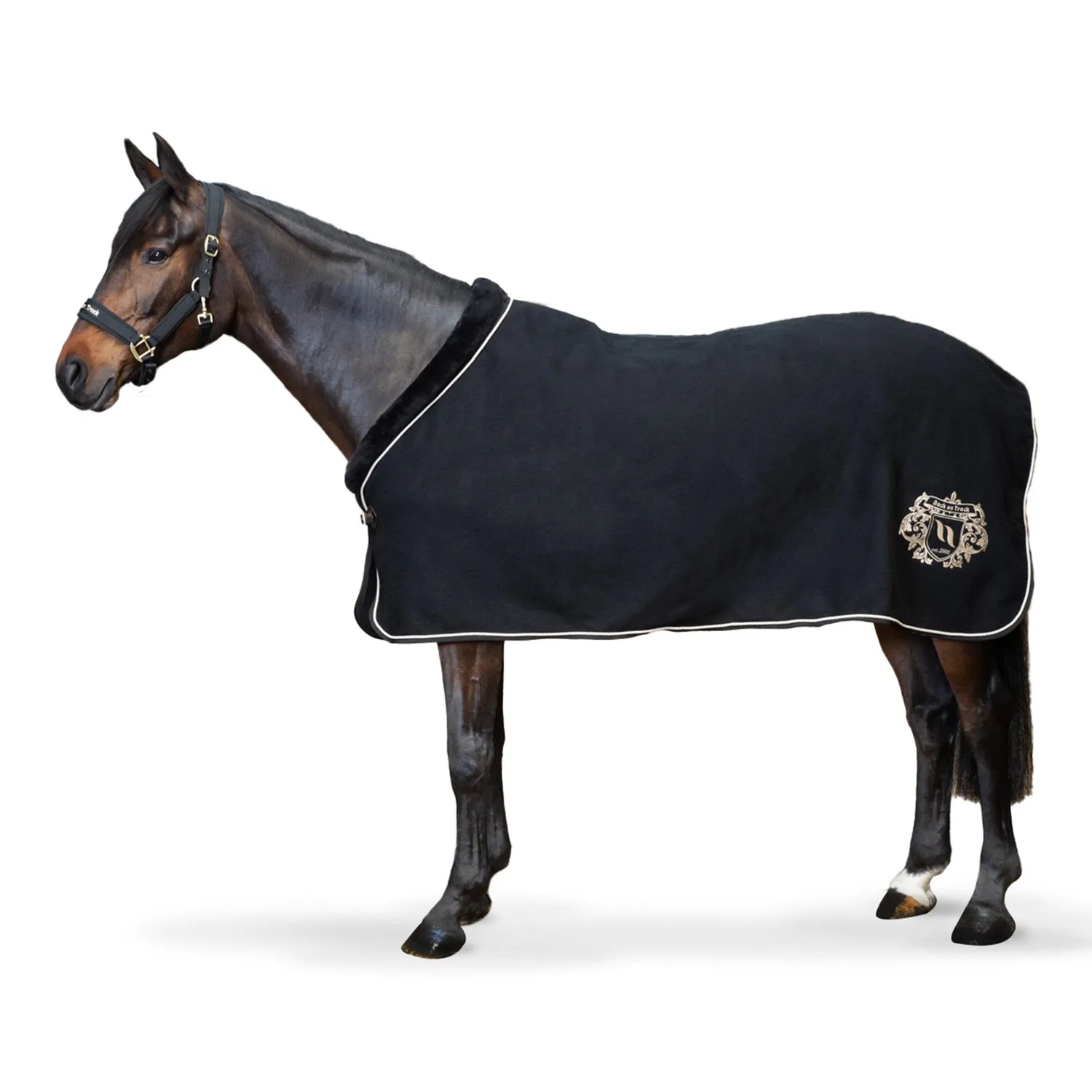 Back on Track Edward couverture cheval laine noire 145 cm