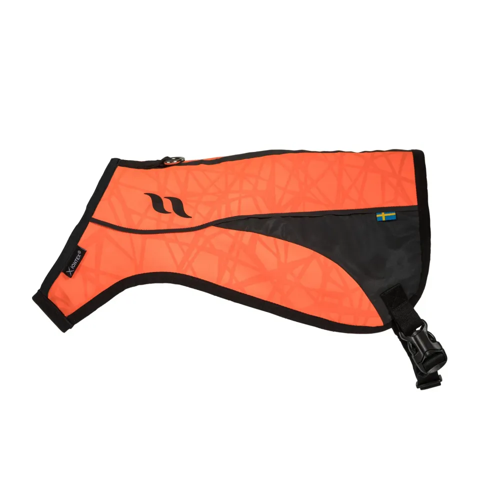 Back on Track Point gilet chien orange XS visibilité chasse