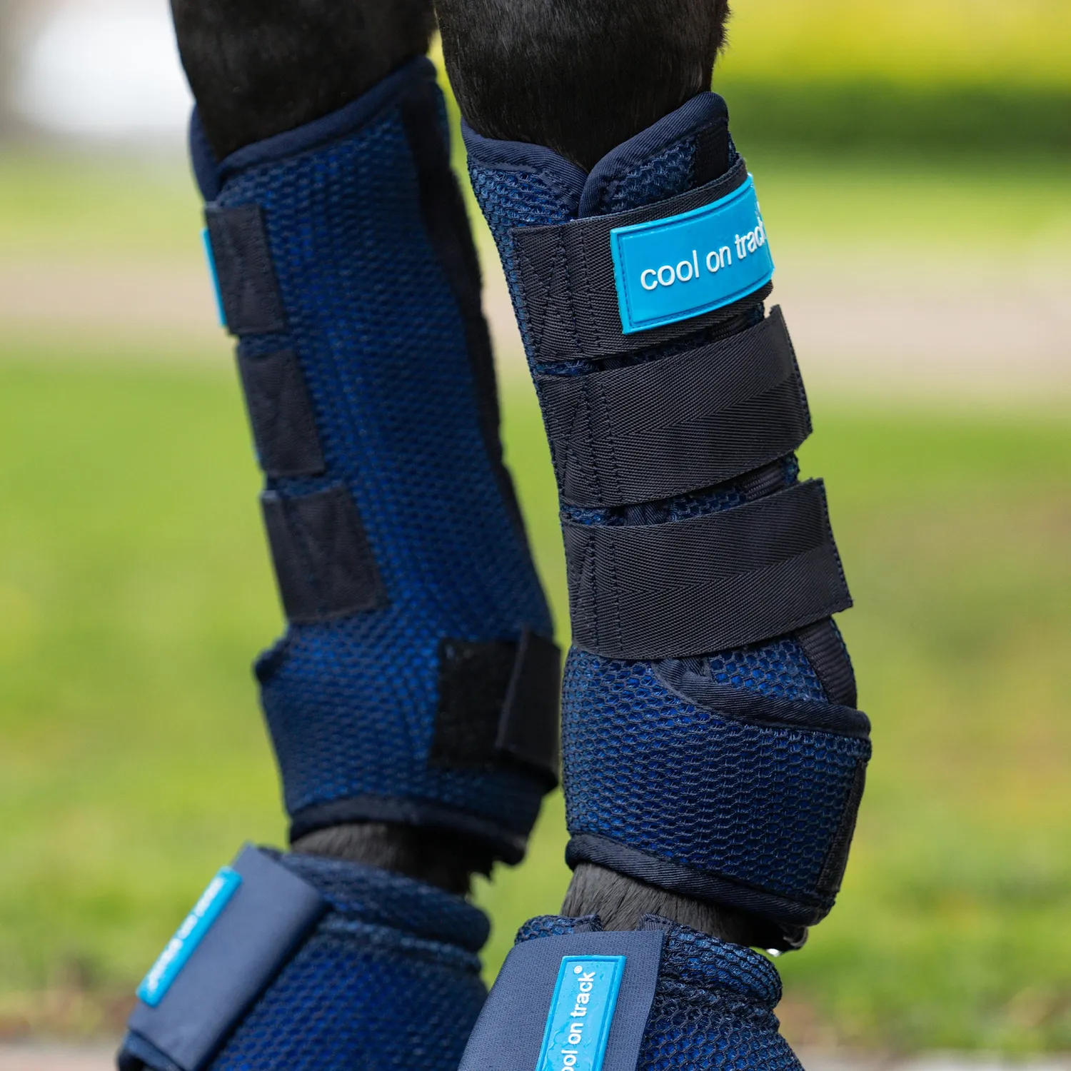 Back on Track Cool on Track Quick Wraps 2.0 guêtre bleu