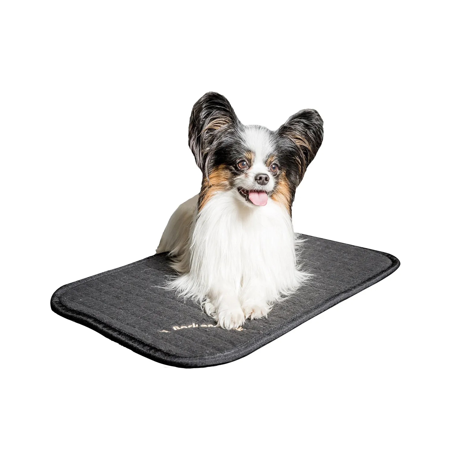 Back on Track Allround matelas chien matelassé récupération