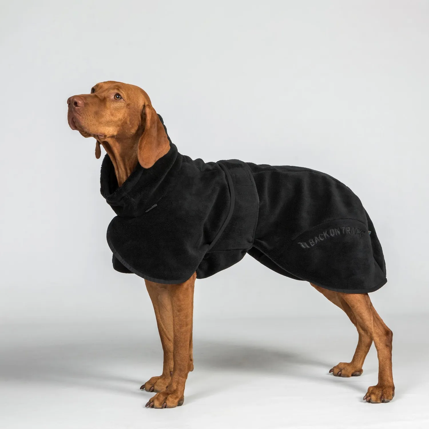 Back on Track Bay manteau séchage chien noir 50 séchage rapide