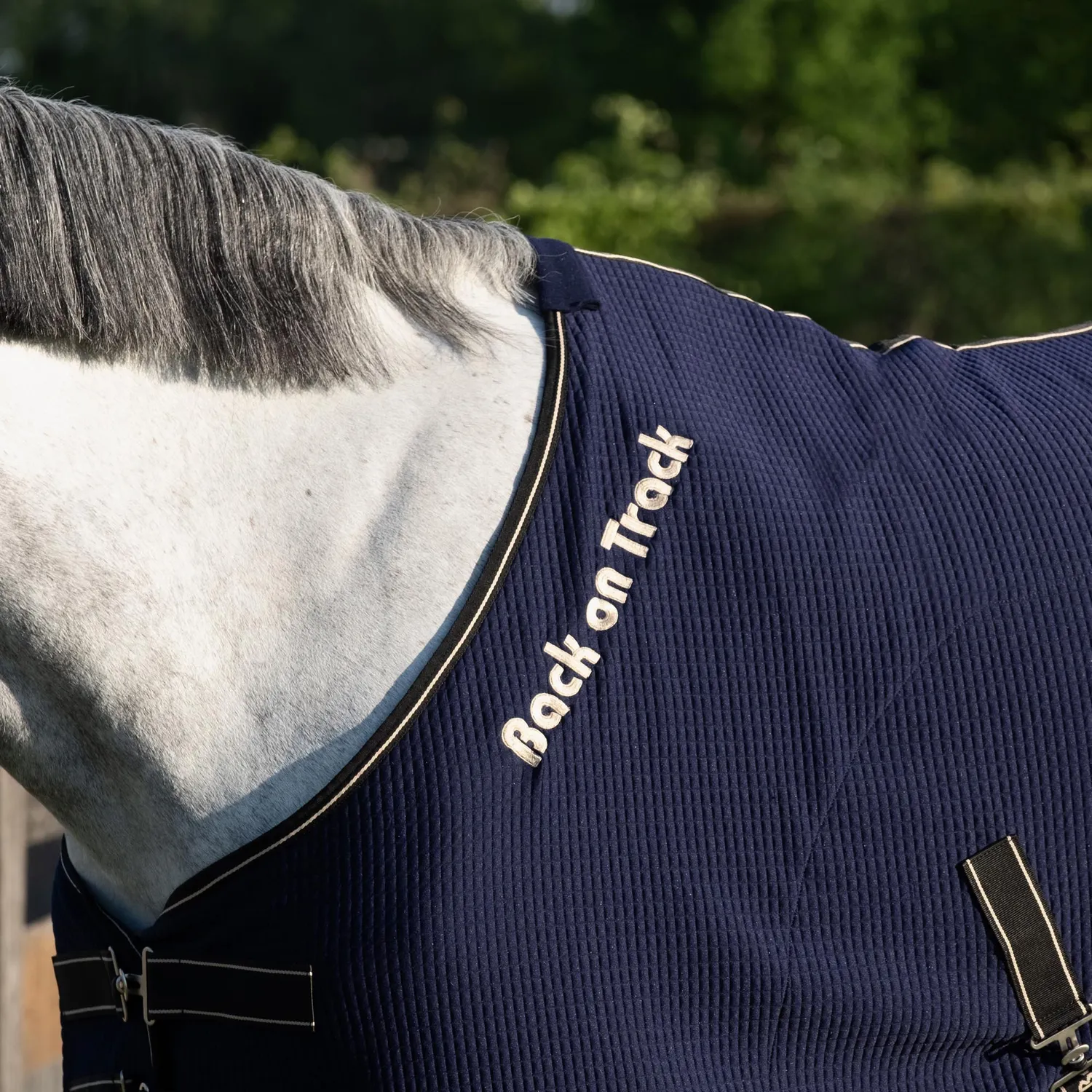 Back on Track Quick Cooler couverture cheval bleue séchante