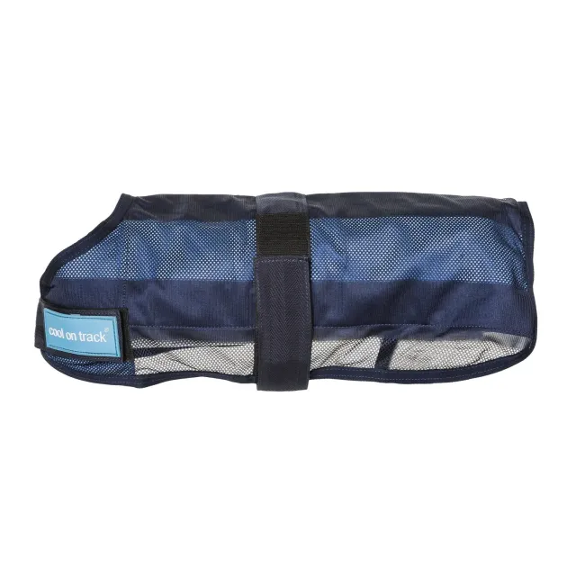 Back on Track Cool on Track manteau chien bleu
