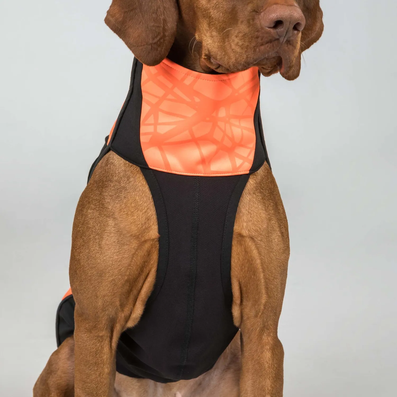 Back on Track Bark Visibility combinaison chien orange réfléchissante