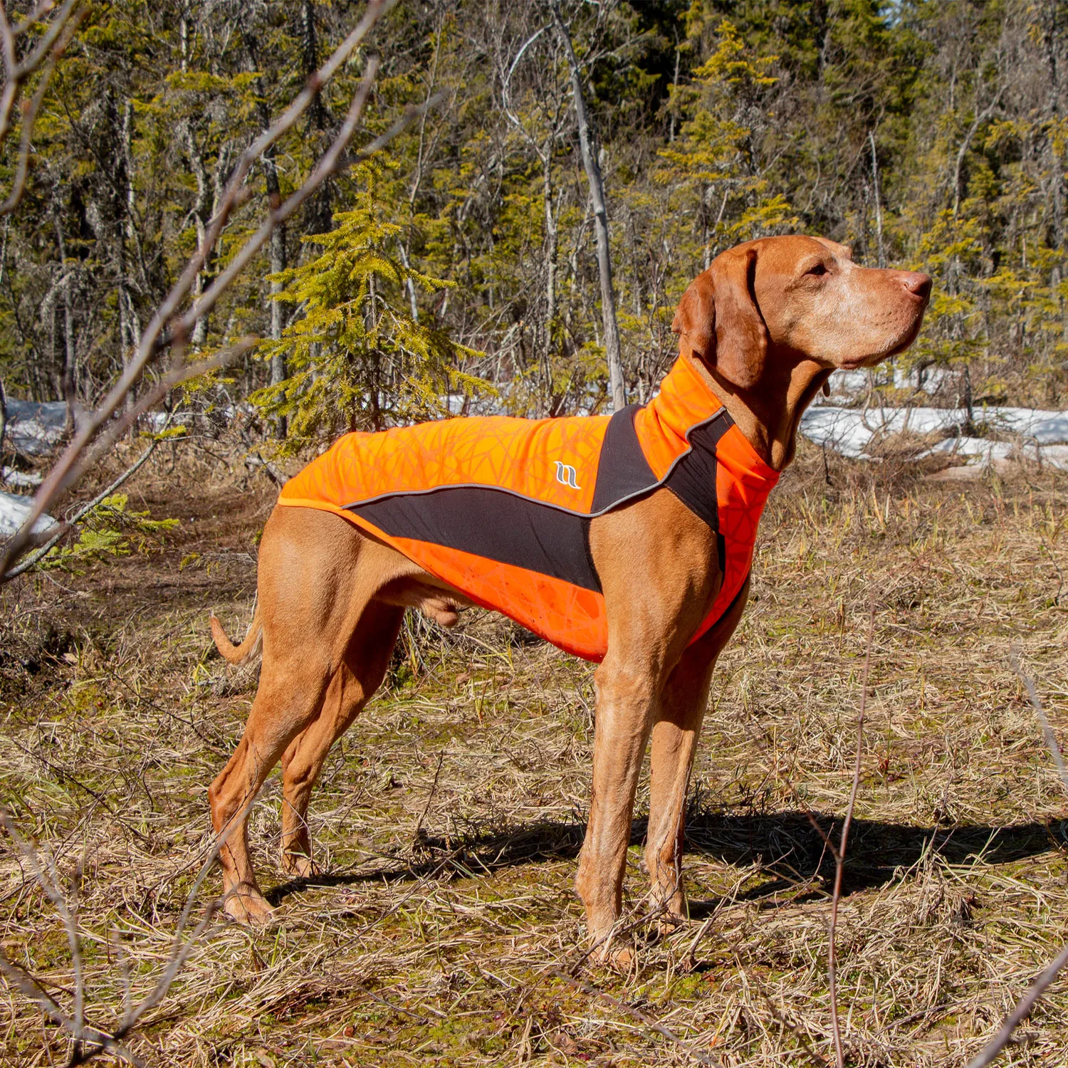 Back on Track Eddie pull pour chien orange réfléchissant