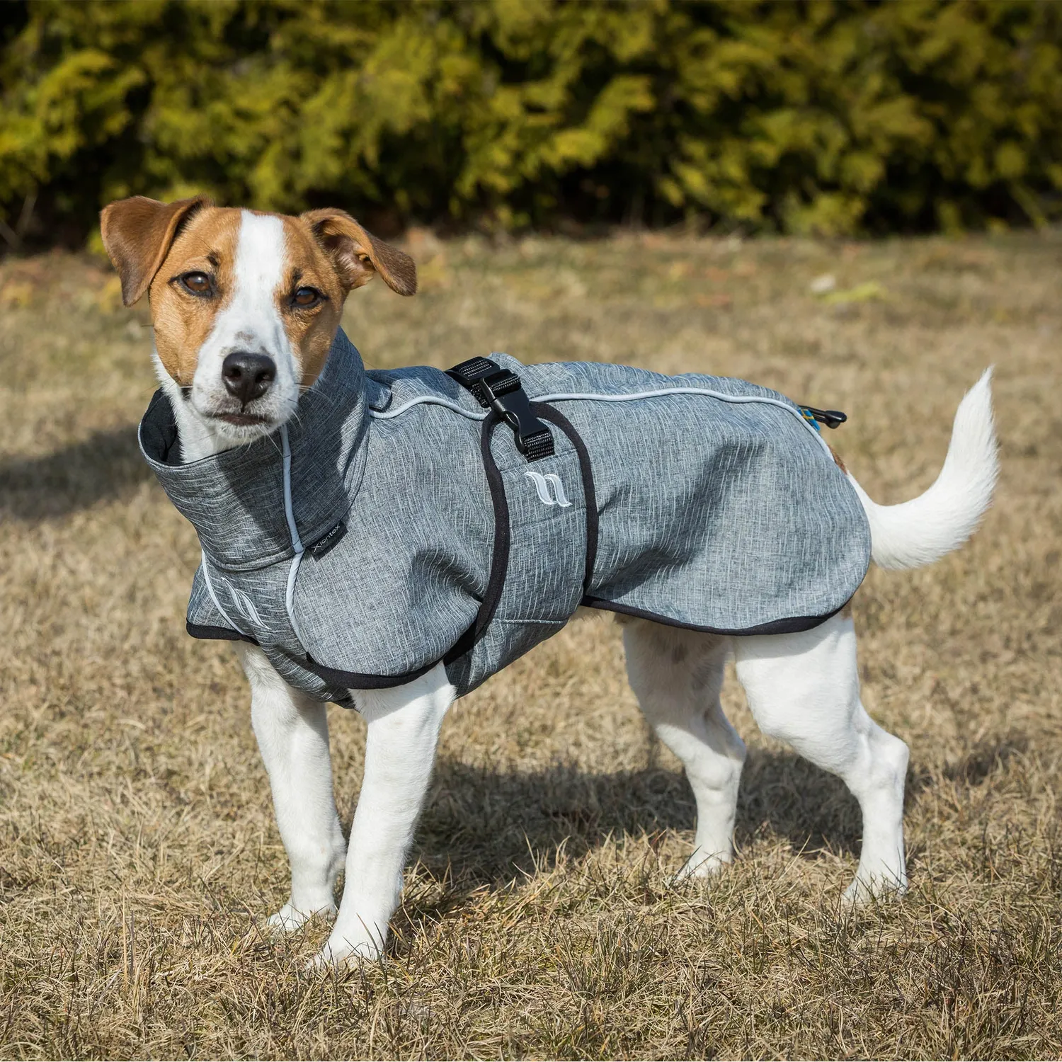 Back on Track Bark manteau chien noir réfléchissant softshell