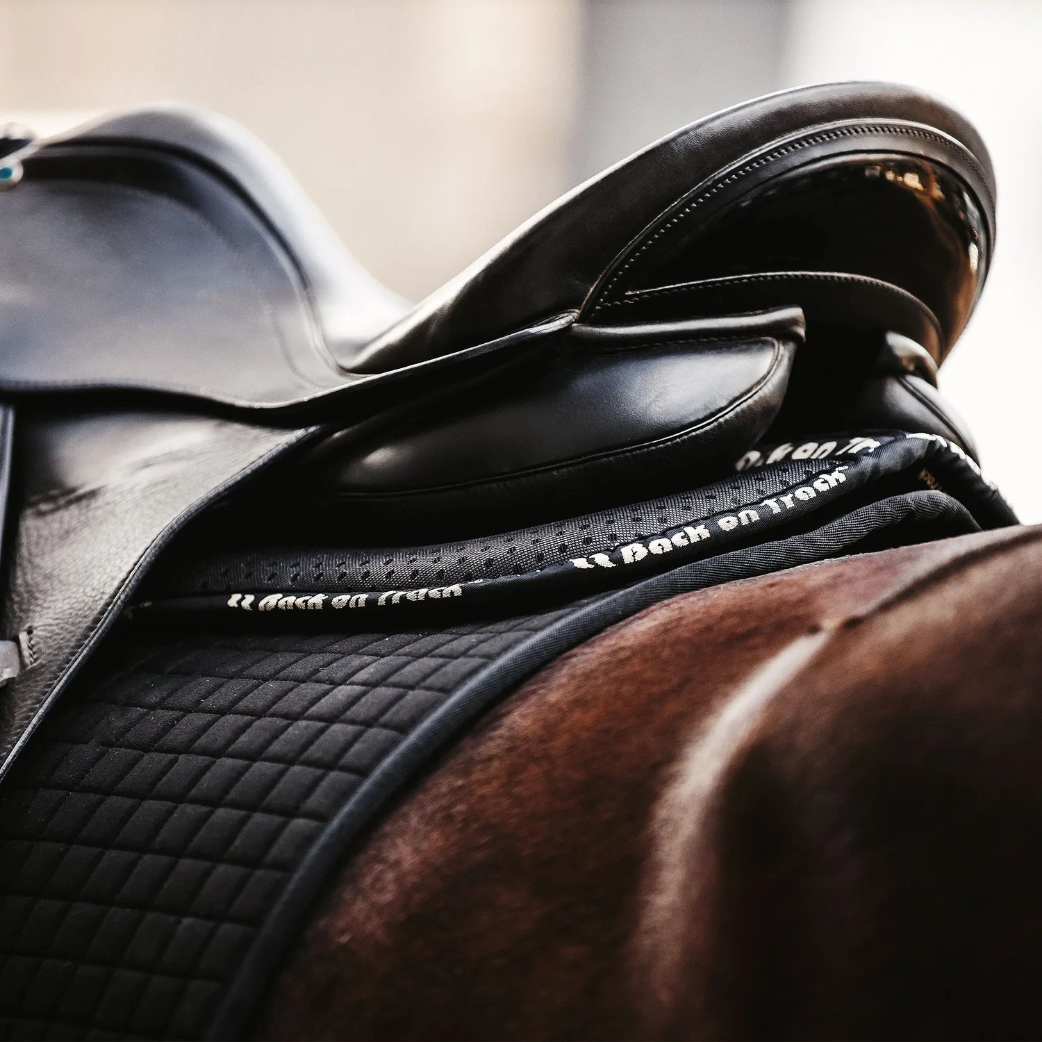 Back on Track Aurora Impact amortisseur cheval noir respirant