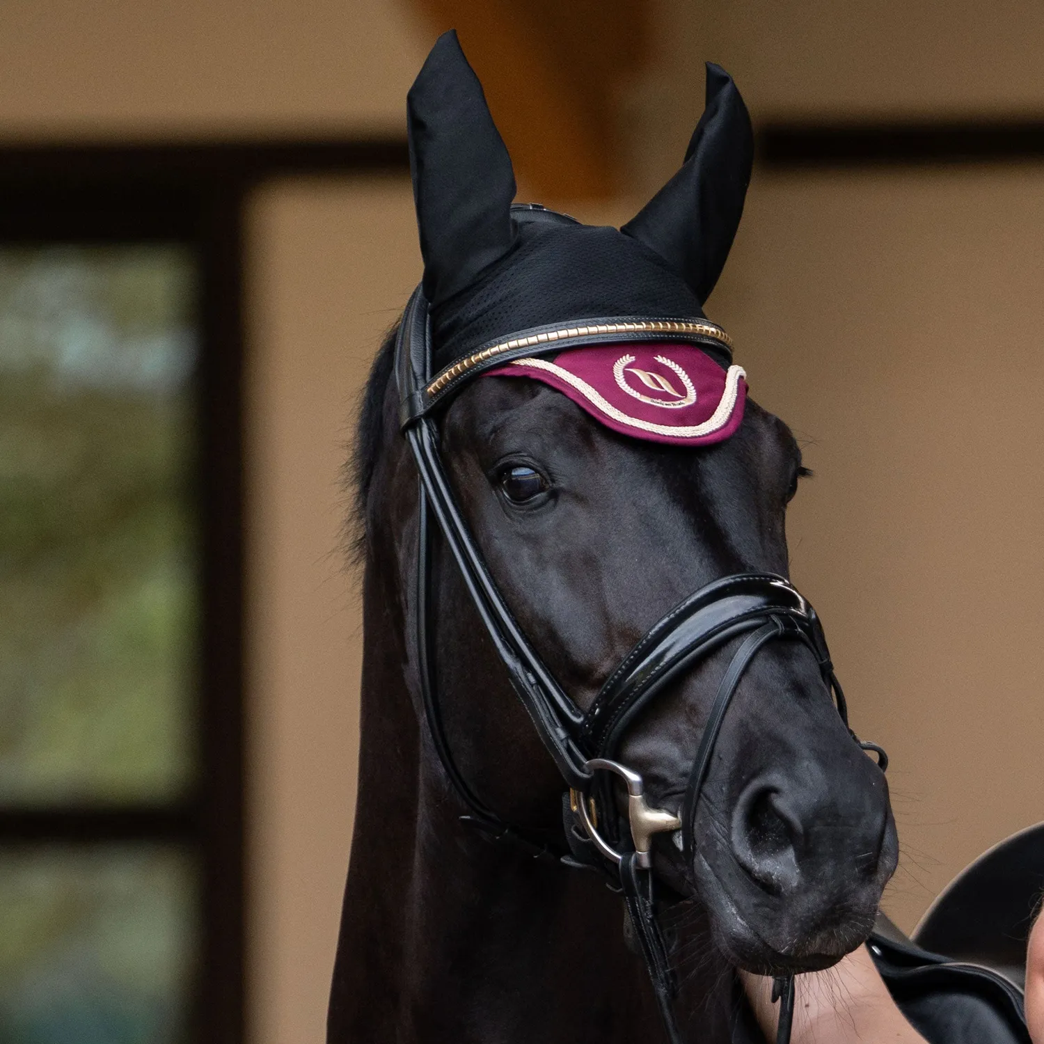 Back on Track Nights bonnet cheval rouge sombre Full Welltex