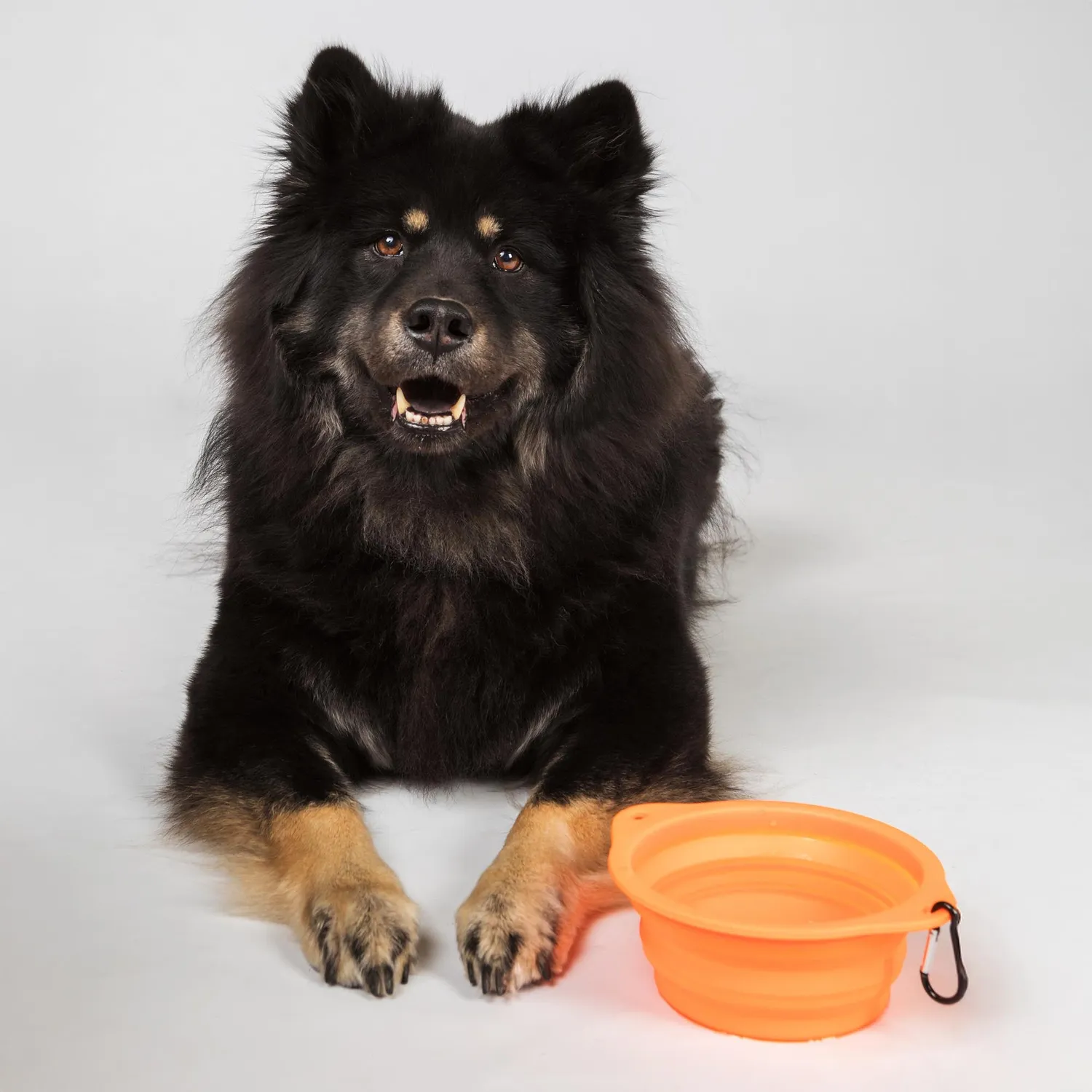 Back on Track gamelle chien silicone pliable orange mousqueton
