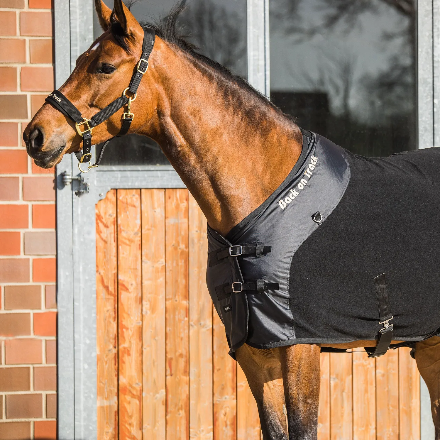 Back on Track Fleece Supreme couverture cheval noir séchante
