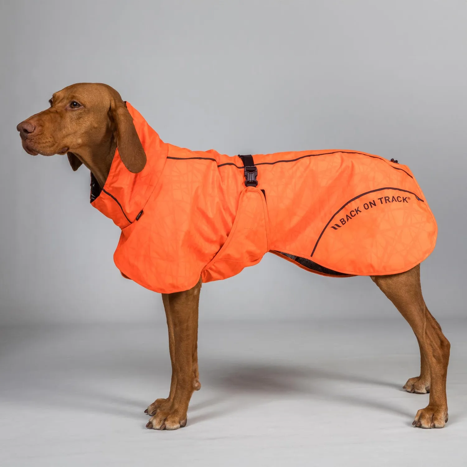 Back on Track Bay manteau pluie chien noir queue haute
