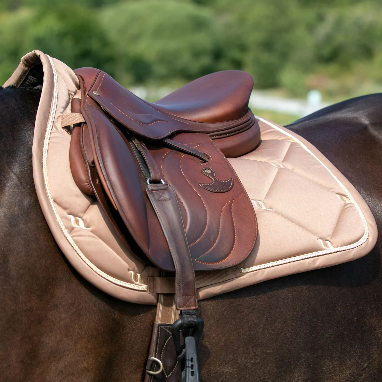 Back on Track Nights Collection Jumping tapis de selle blanc Full
