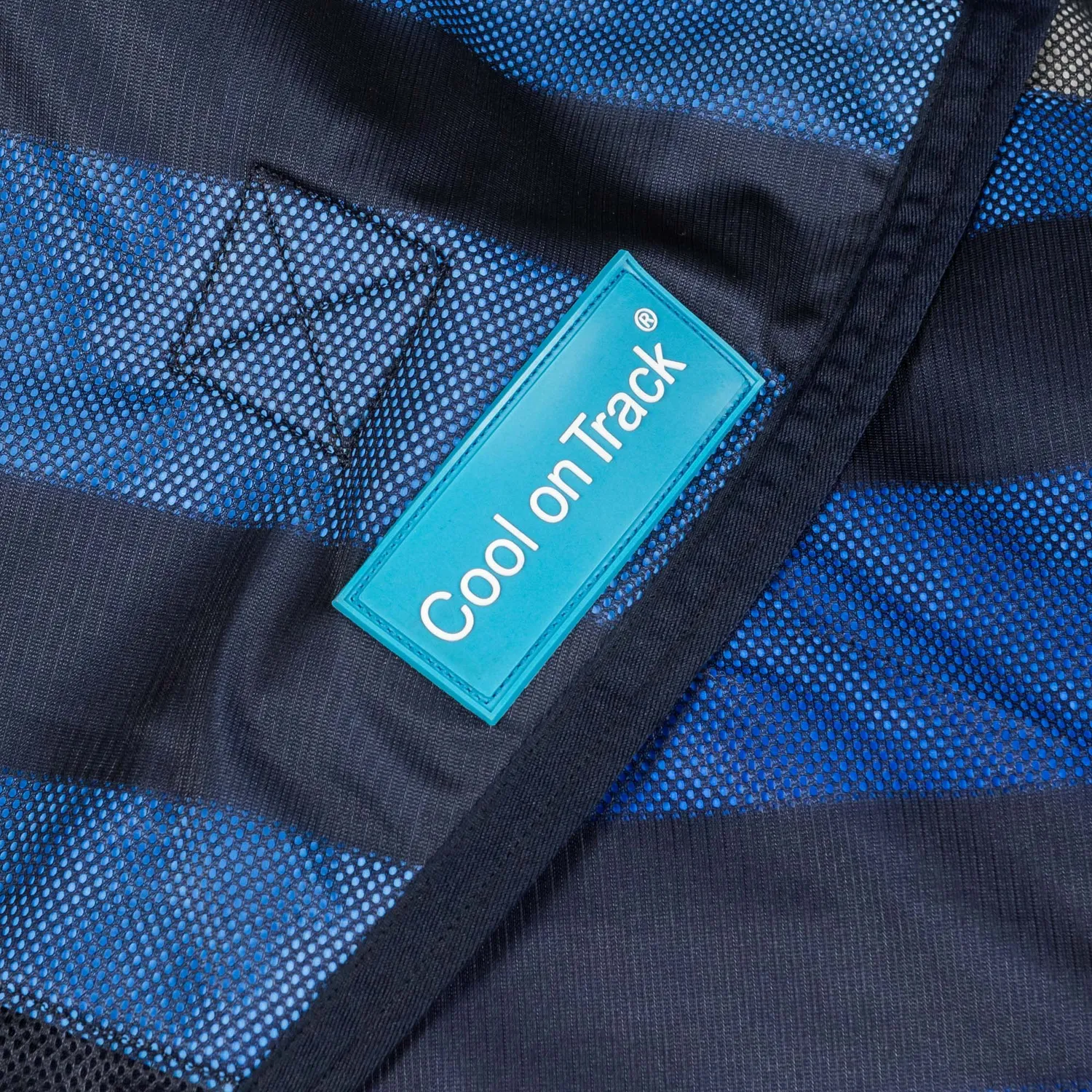 Back on Track Cool on Track couvre-cou cheval bleu M