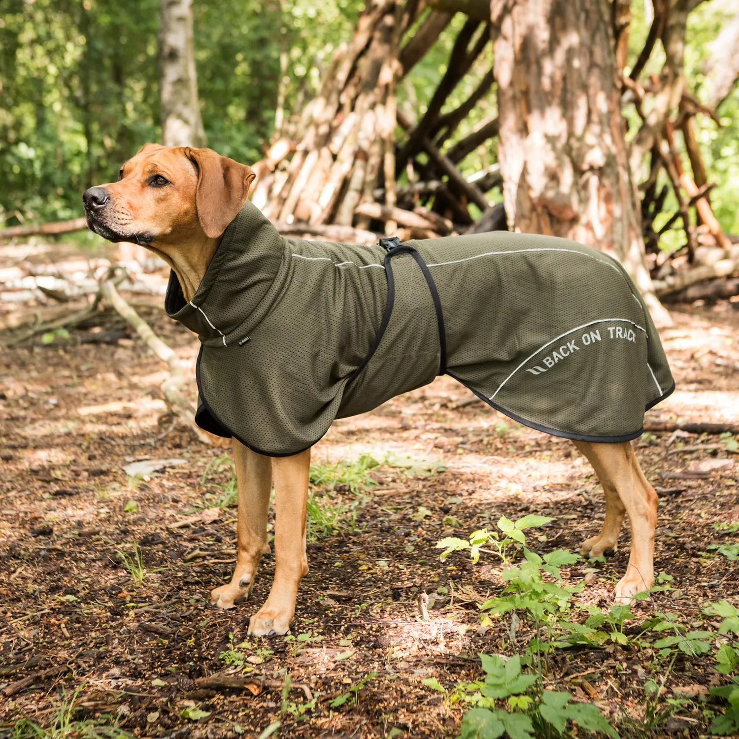 Back on Track Bay Mesh manteau chien noir 50 respirant