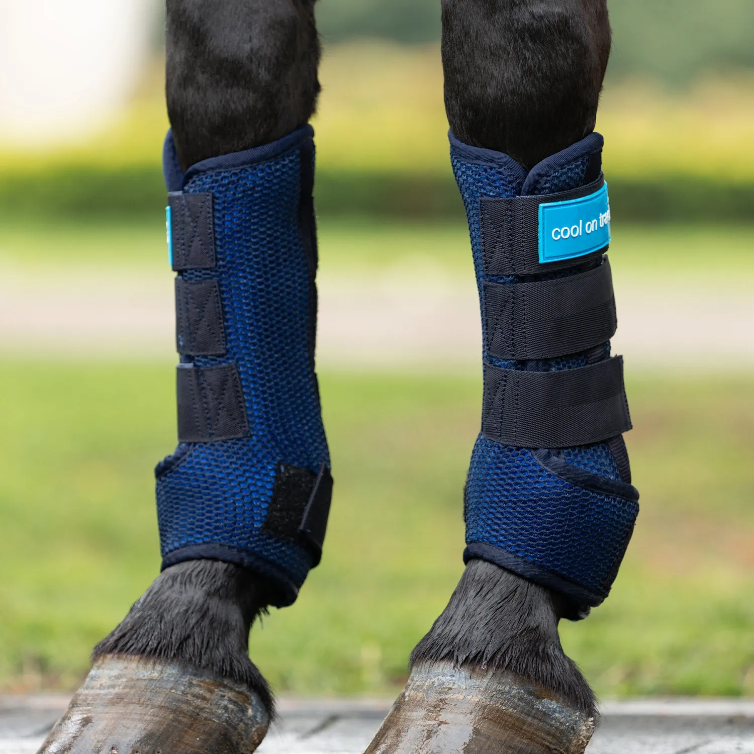 Back on Track Cool on Track Quick Wraps 2.0 guêtre bleu