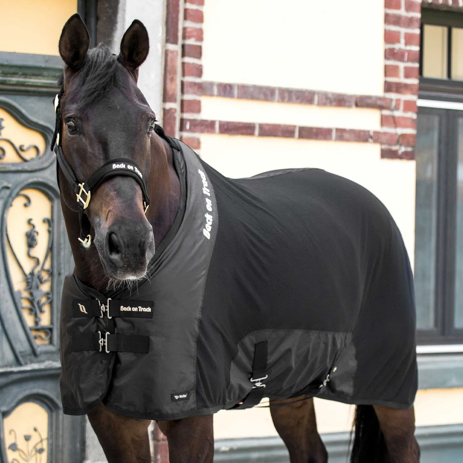 Back on Track Royal Deluxe chemise cheval bleu maille