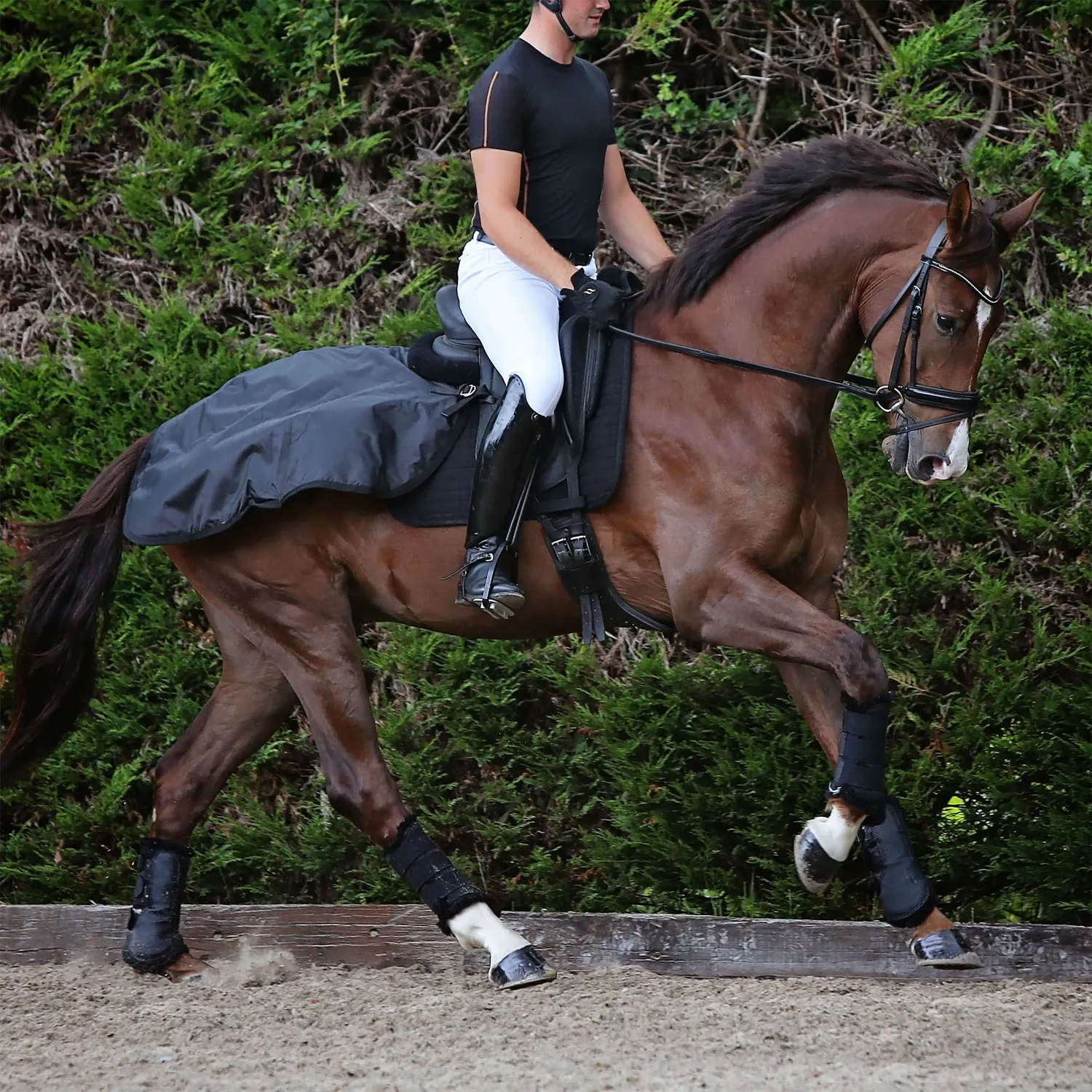 Back on Track couvre-reins noir 135 cm muscles chauds