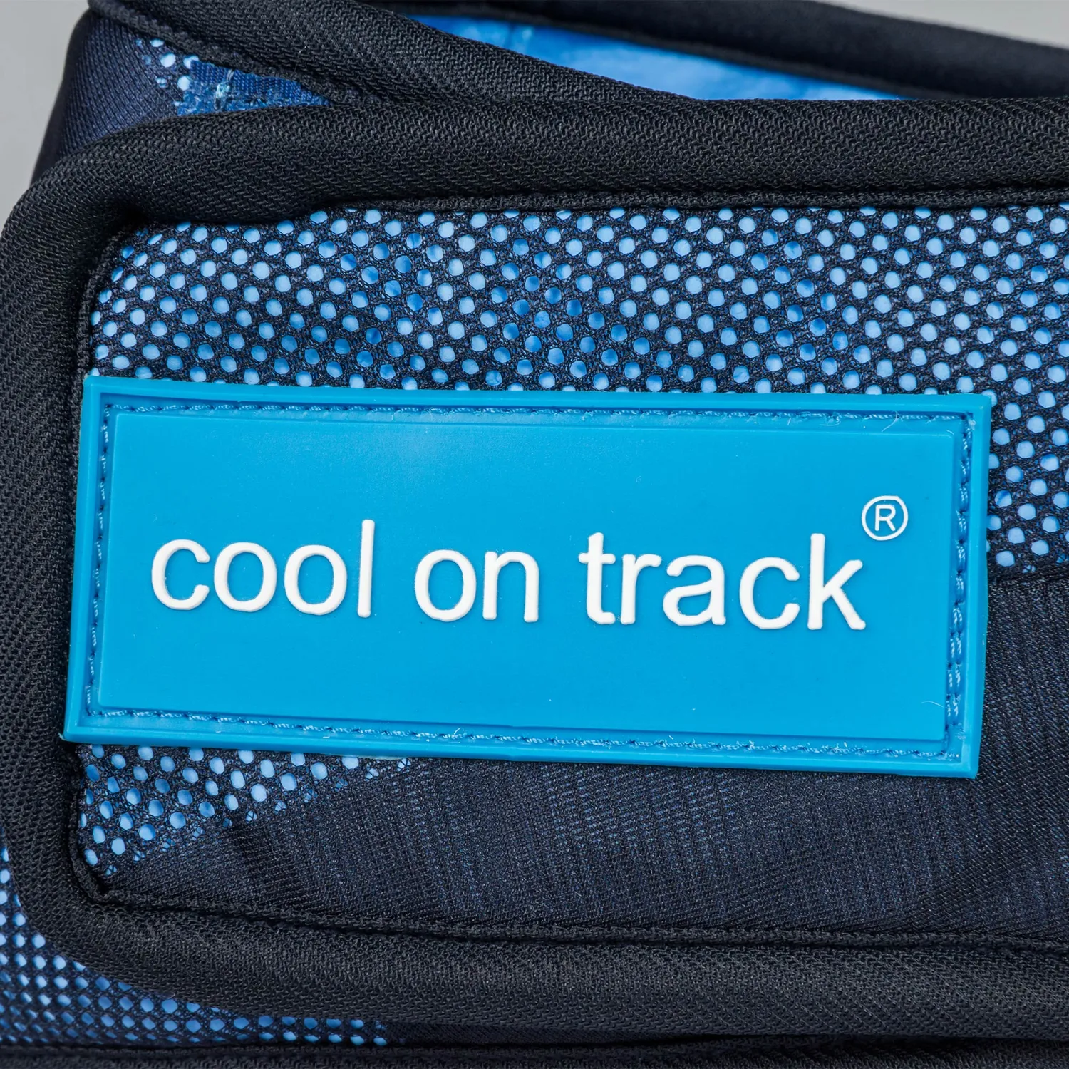 Back on Track Cool on Track bandana chien bleu M rafraîchissant
