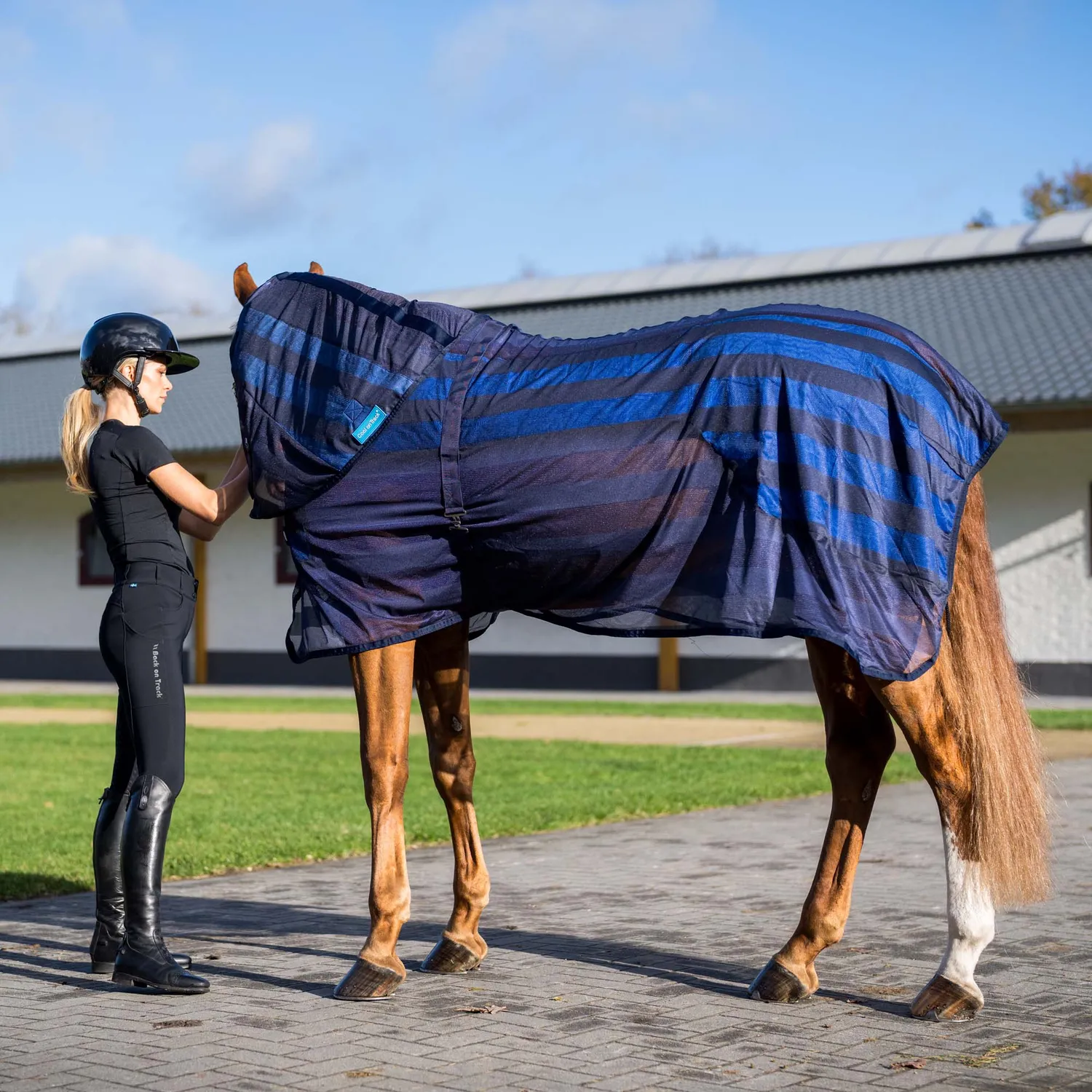 Back on Track Cool on Track couvre-cou cheval bleu M