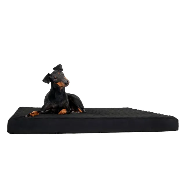 Back on Track matelas chien noir 80x100x9 cm mémoire