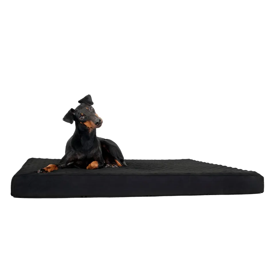 Back on Track matelas chien noir 80x100x9 cm mémoire