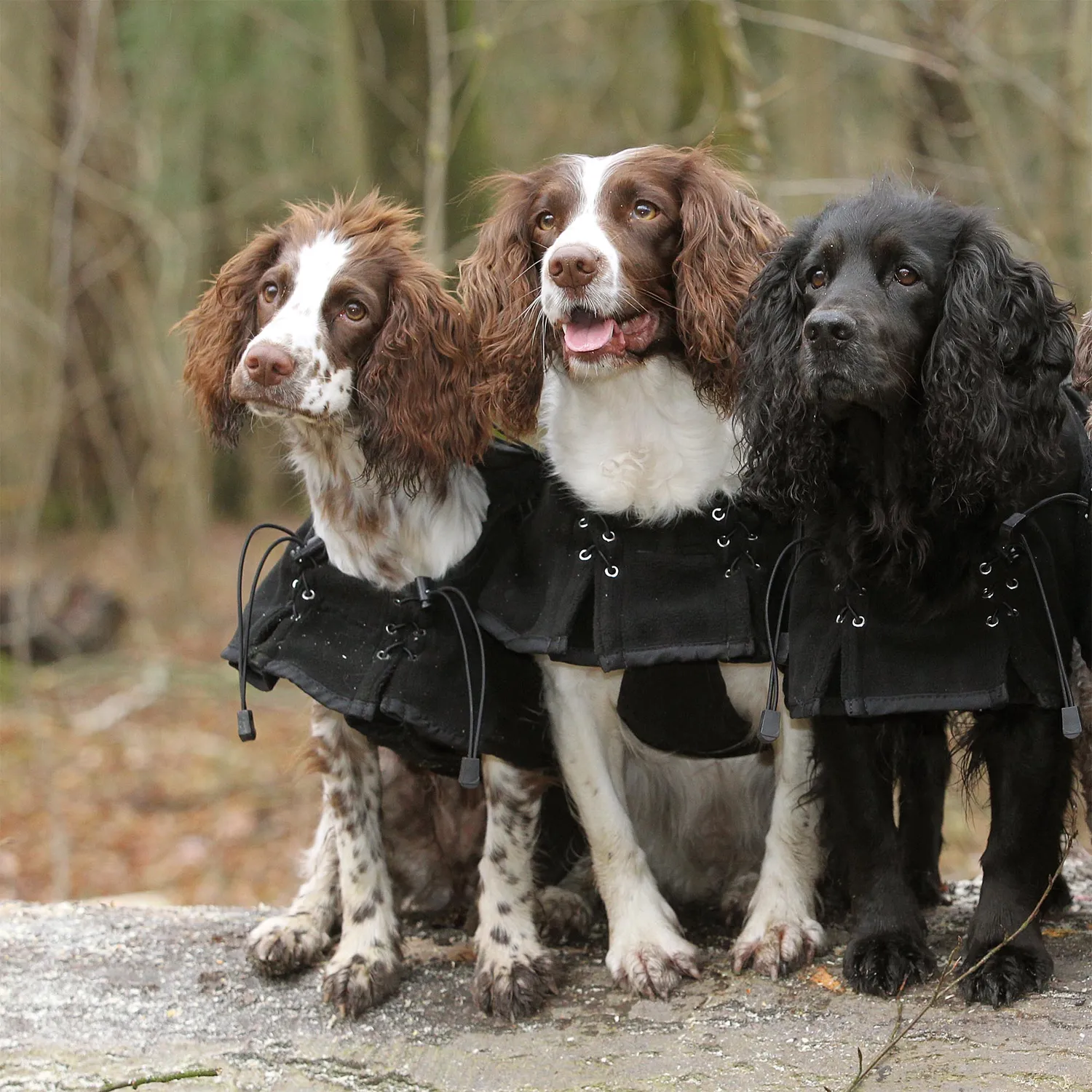 Back on Track manteau chien polaire noir 27cm Welltex