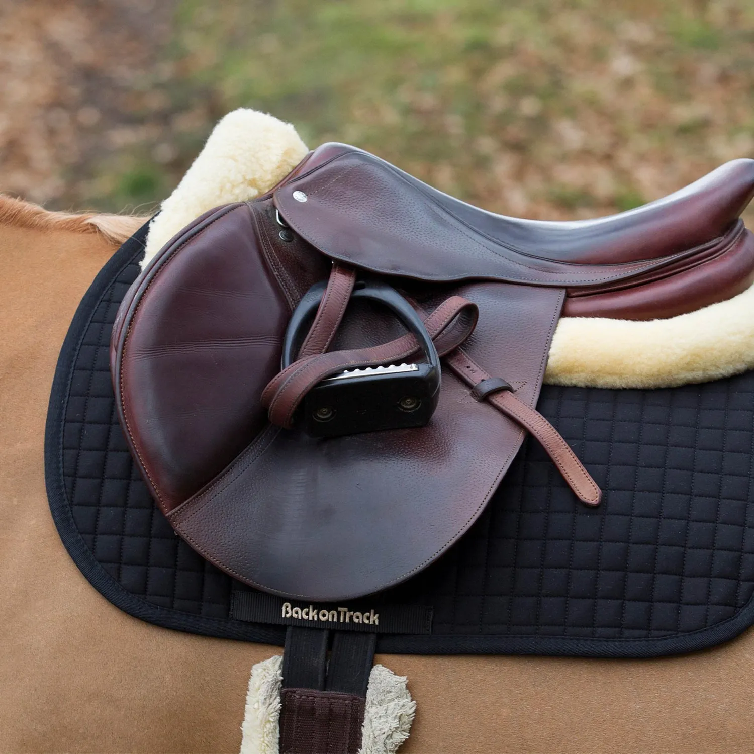 Back on Track No 1 tapis selle obstacle noir Cob chauffant