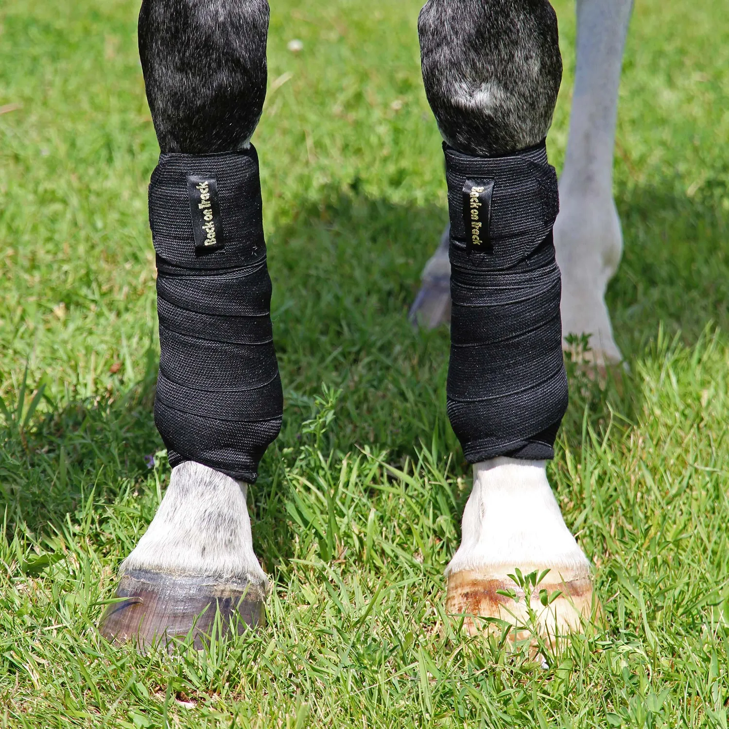 Back on Track Combi bandages cheval noirs 3,2 m