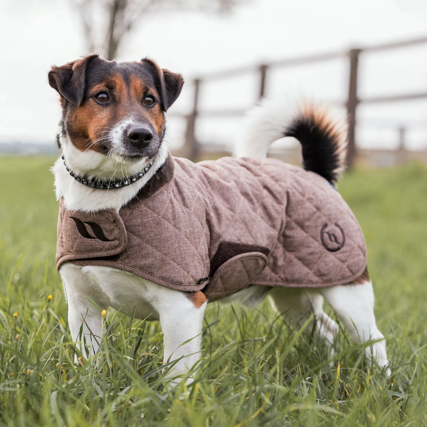 Back on Track Haze Collection manteau chien marron 50 cm matelassé