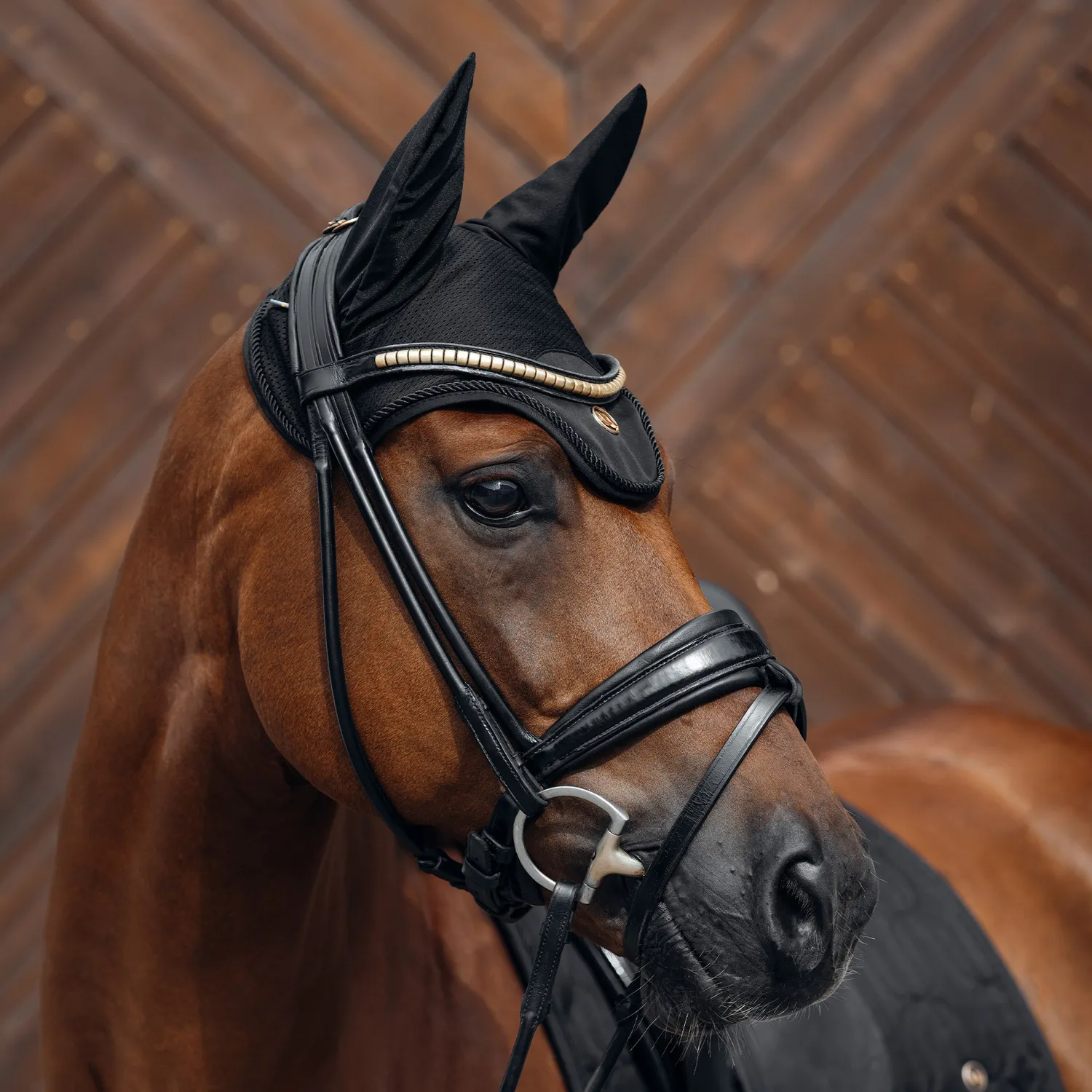 Back on Track Deep Nights bonnet cheval noir Full circulation