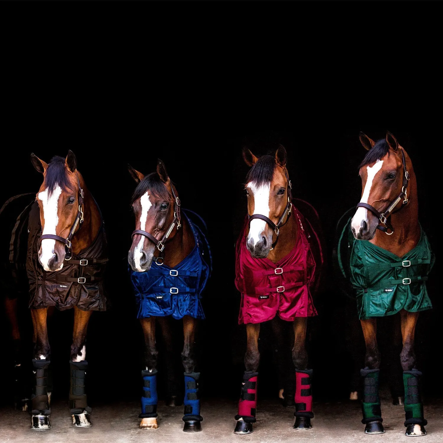 Back on Track Royal Quick Wraps guêtres cheval noir