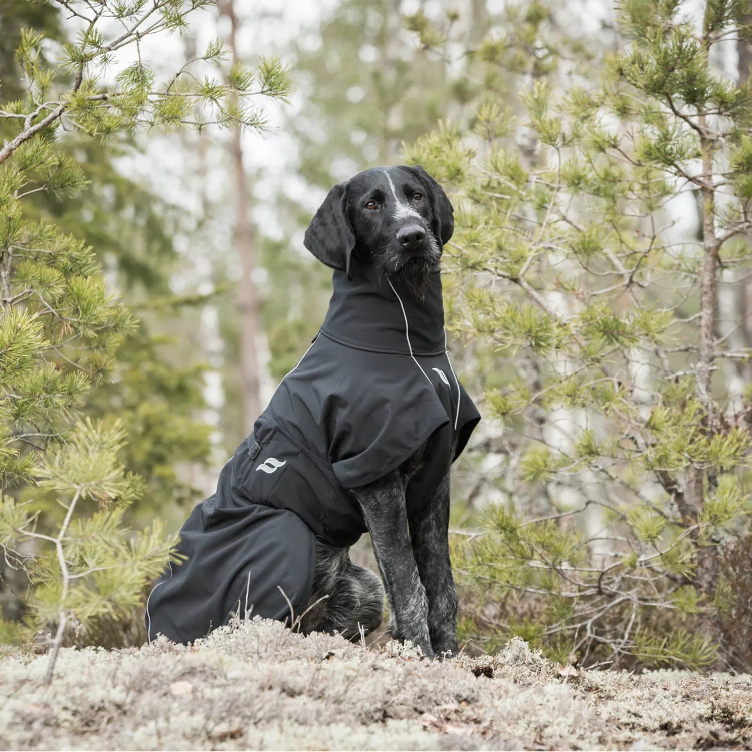 Back on Track Nella All Weather Dog Coat manteau chien noir